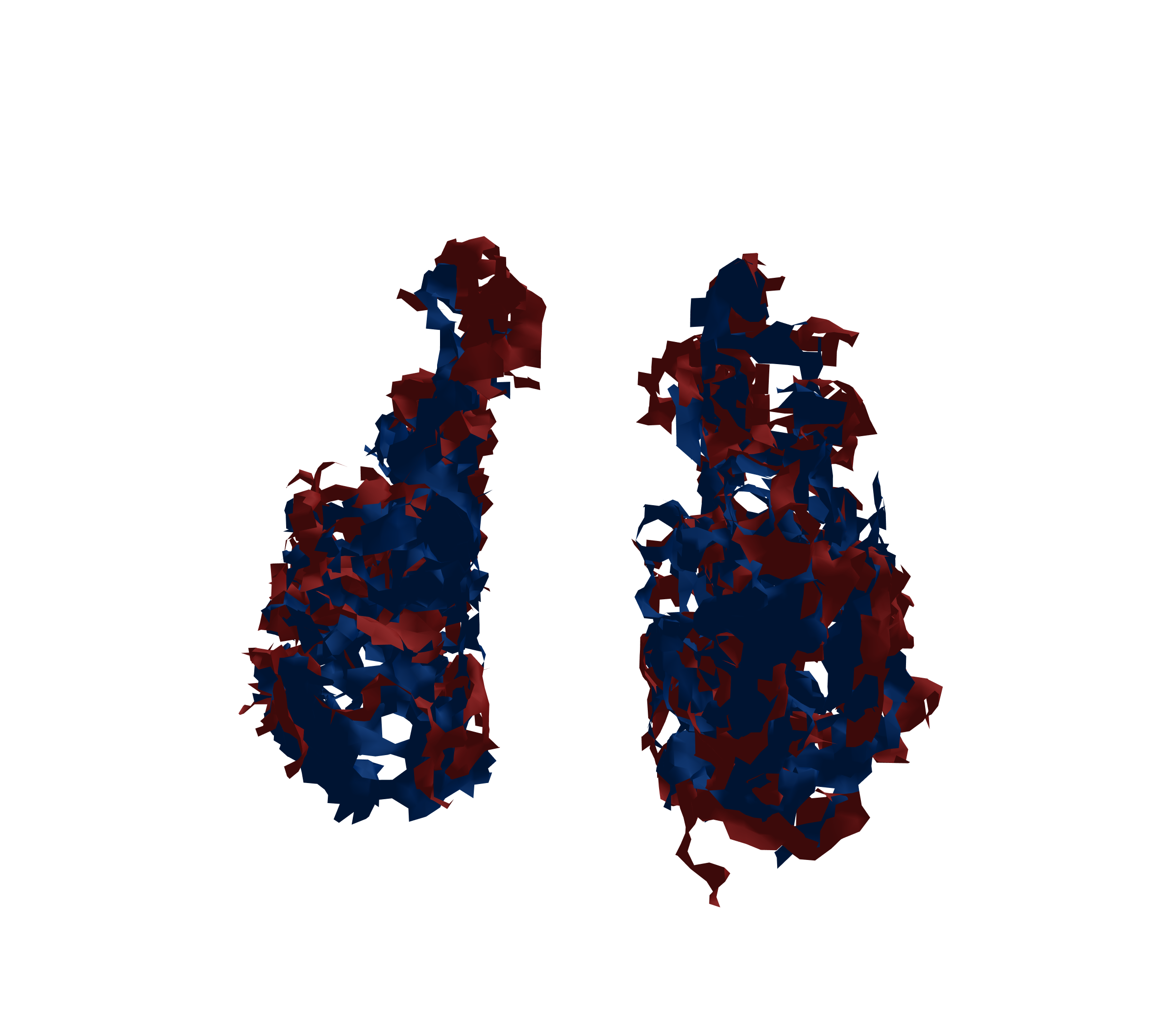 Surface Mesh - Front View