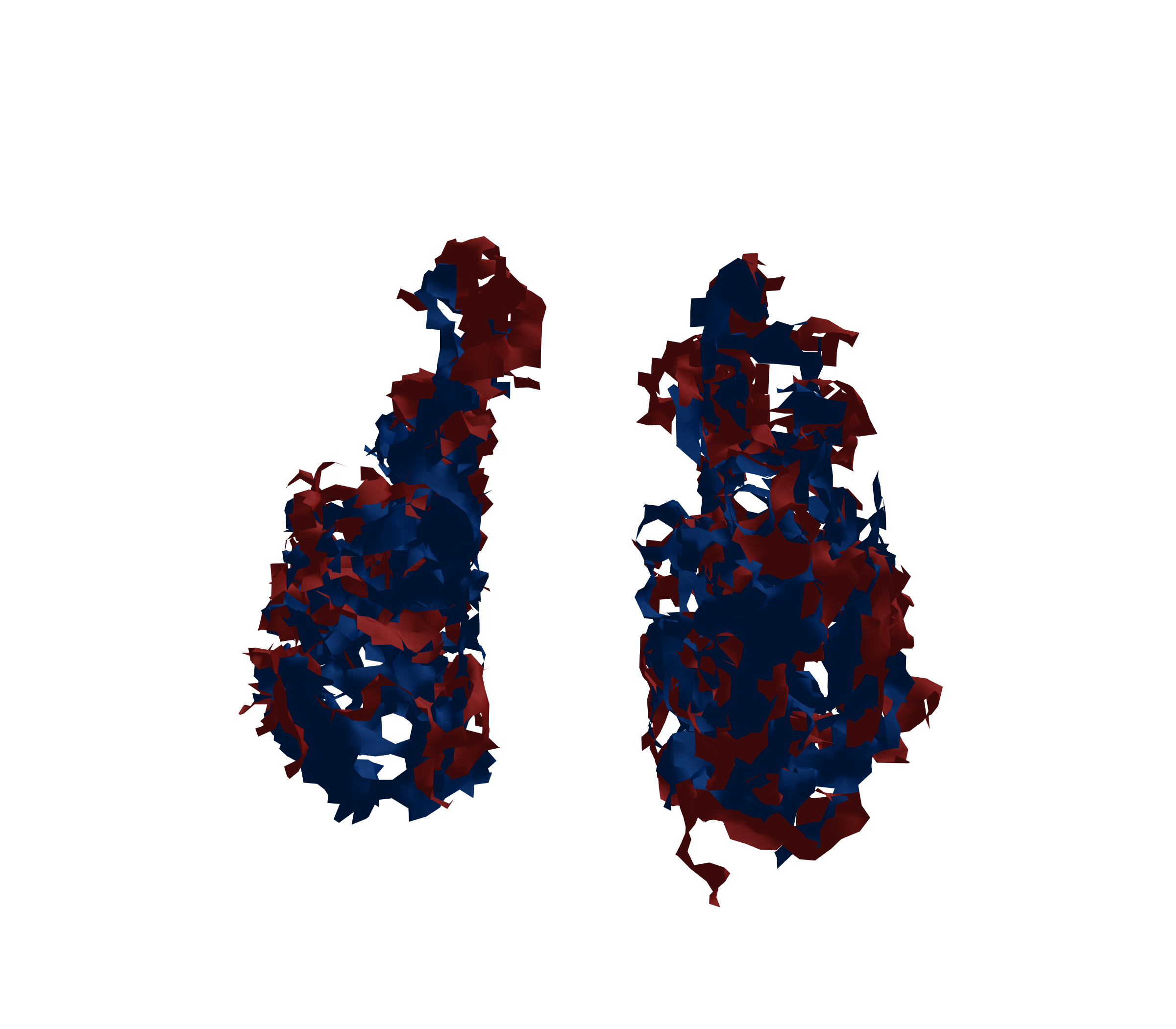 Surface Mesh - Front View