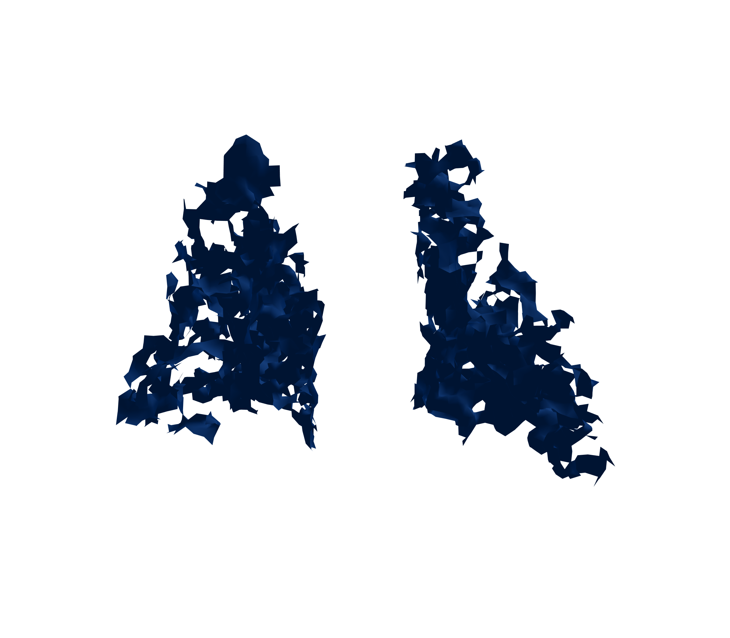 Surface Mesh (Inspiration) - Back View