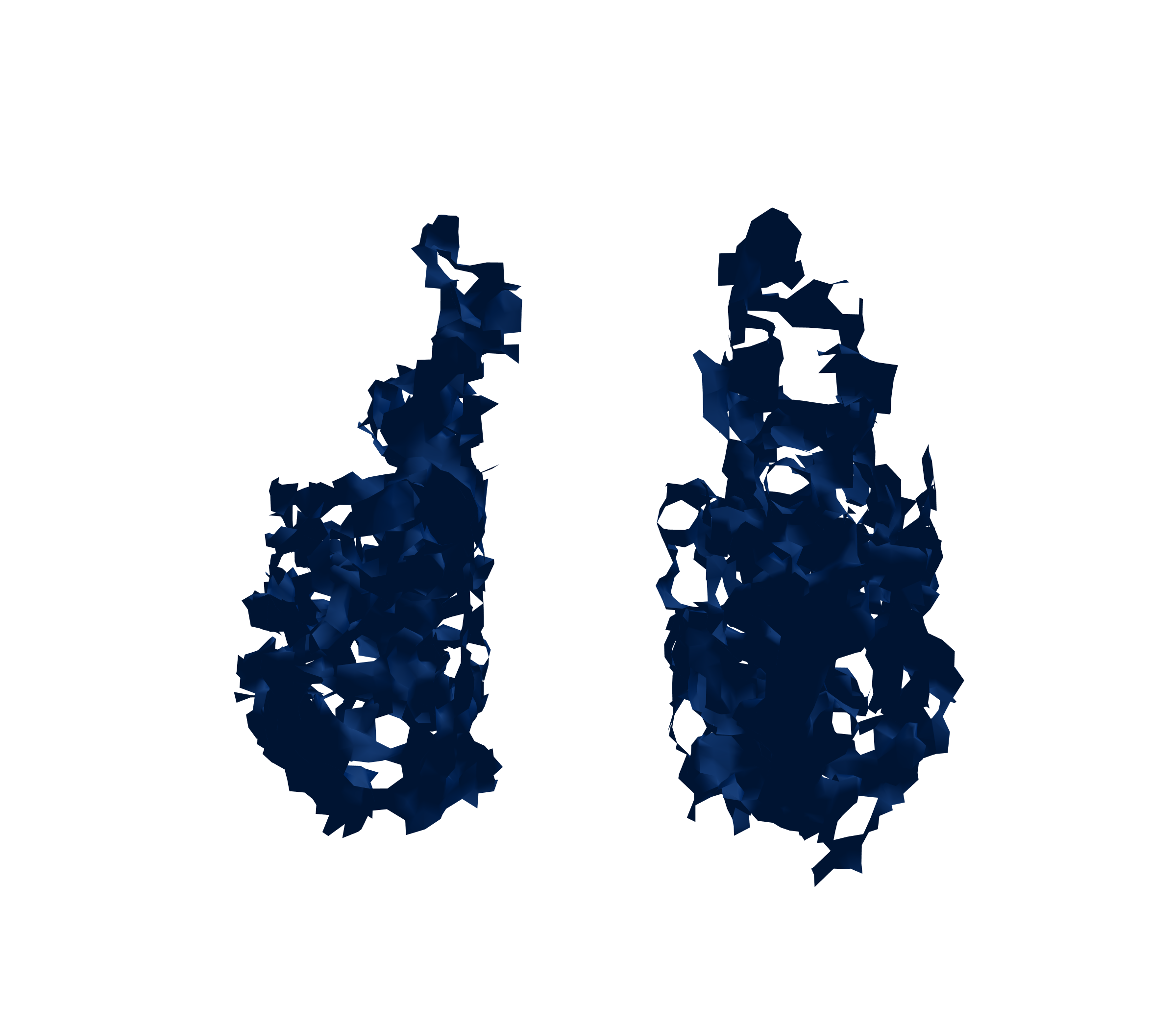 Surface Mesh (Inspiration) - Front View