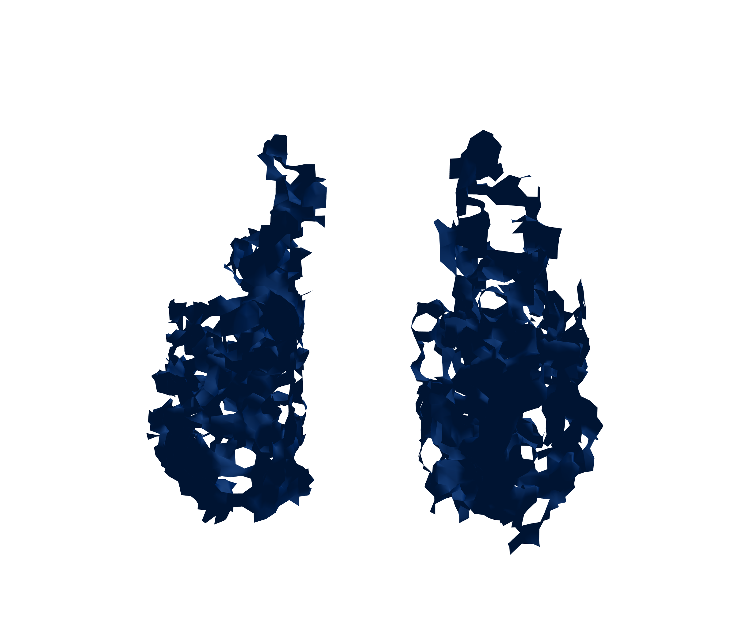 Surface Mesh (Inspiration) - Front View