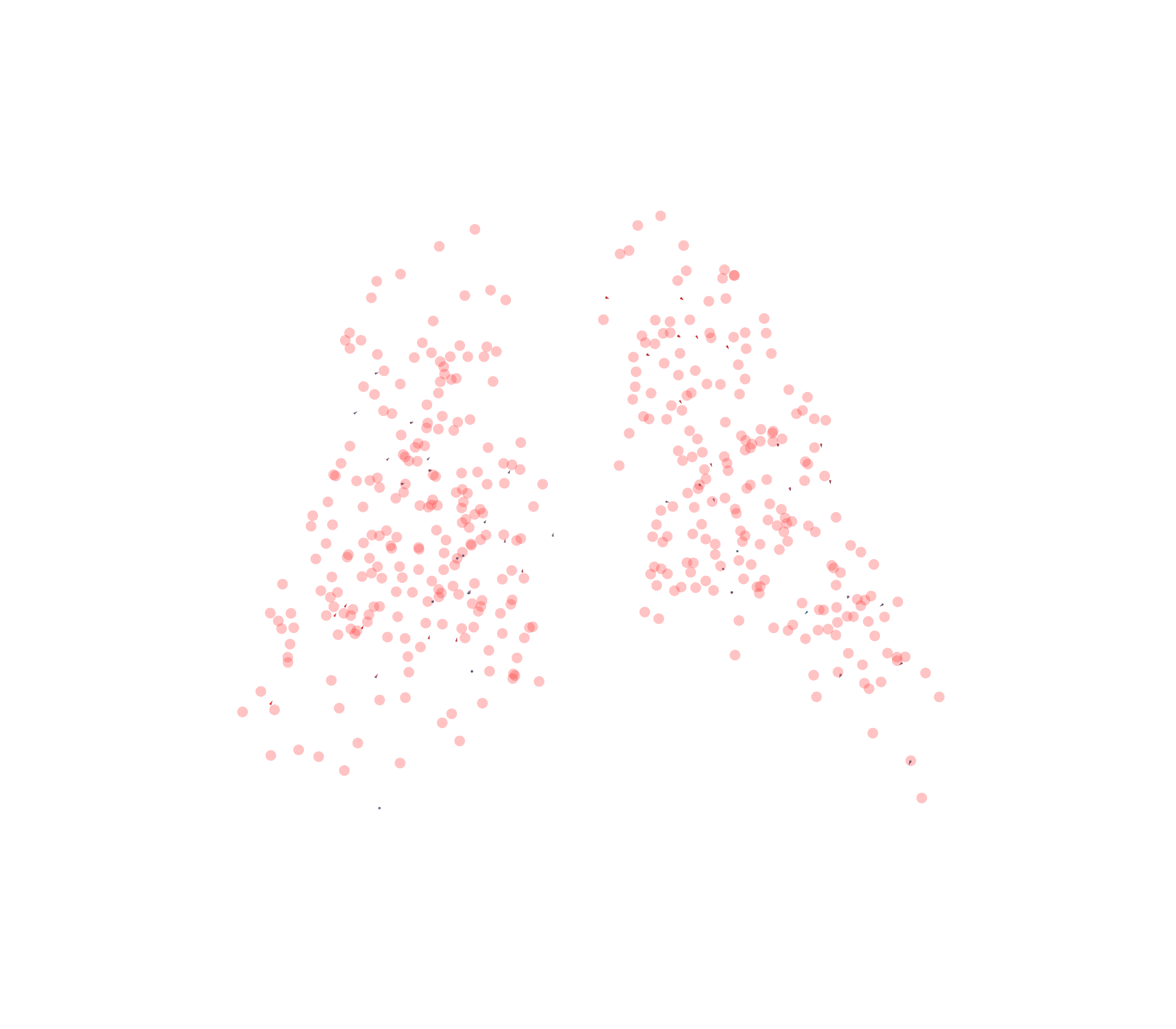 Displacement Vectors - Back View