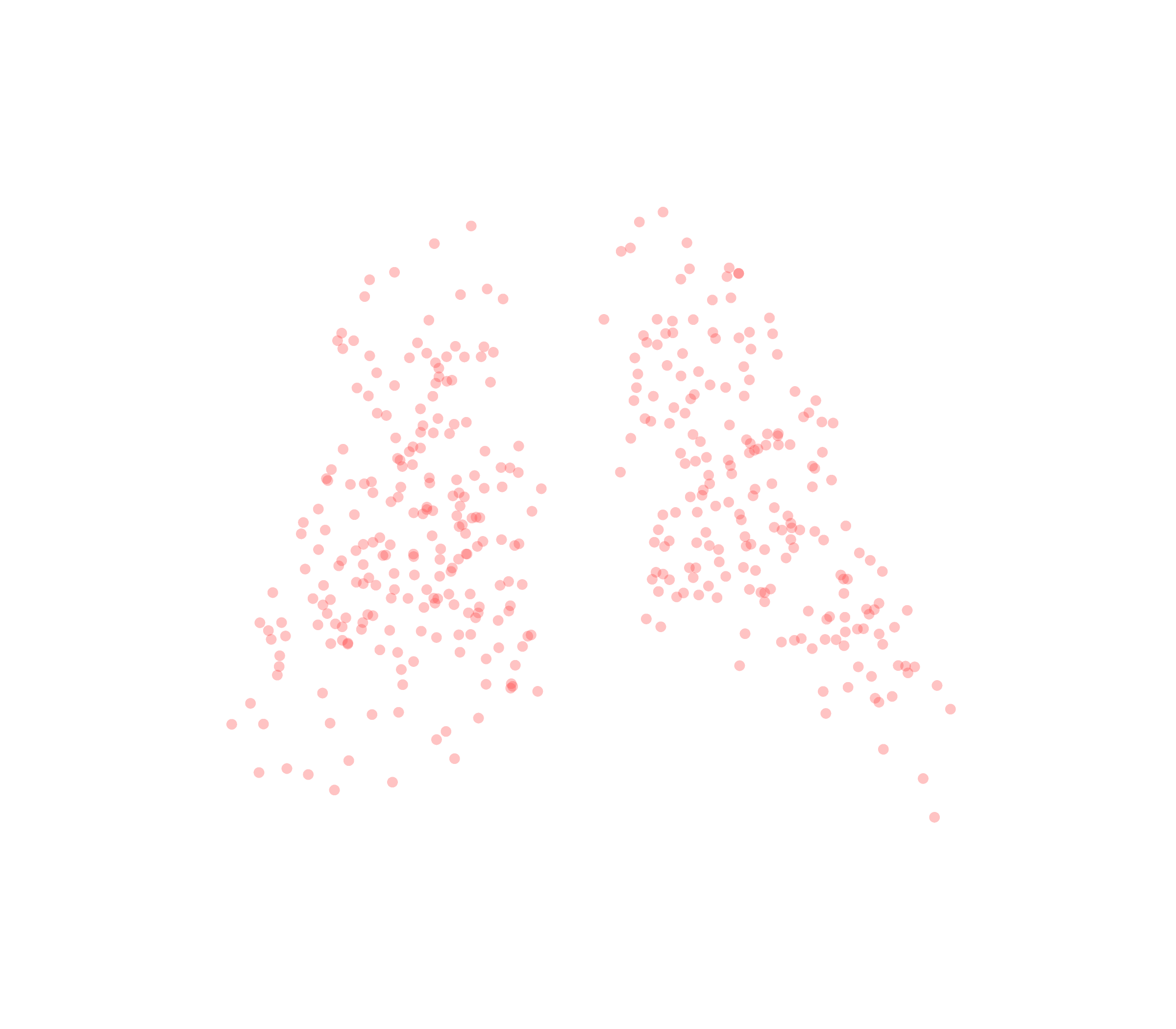 Displacement Vectors (Expiration) - Back View