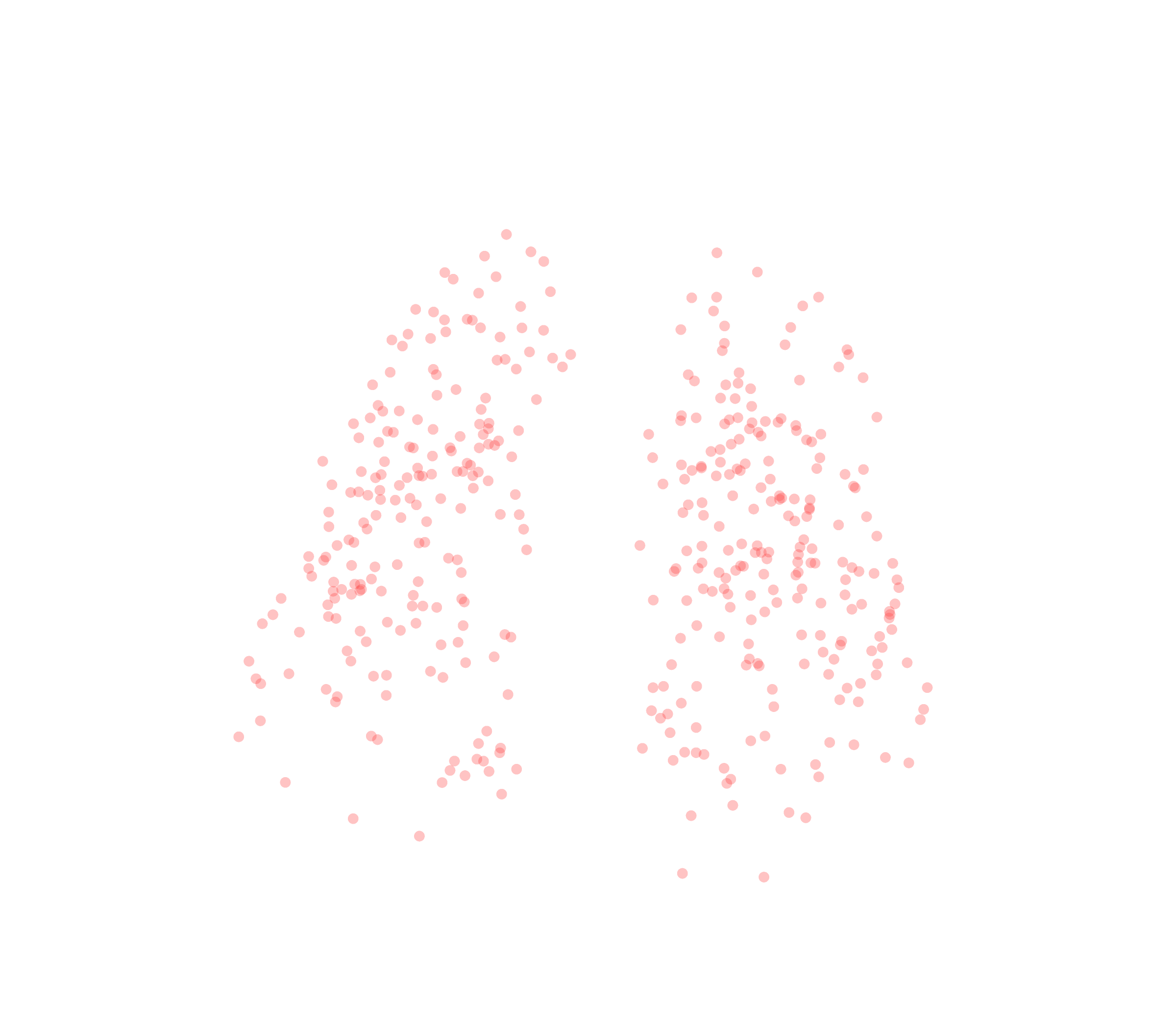 Displacement Vectors (Expiration) - Front View