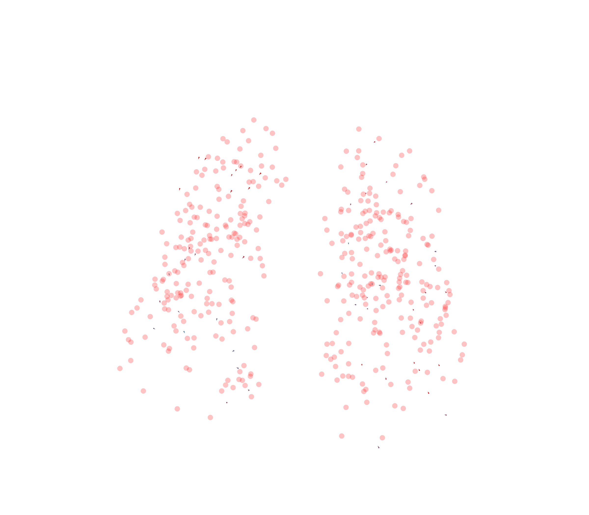 Displacement Vectors - Front View