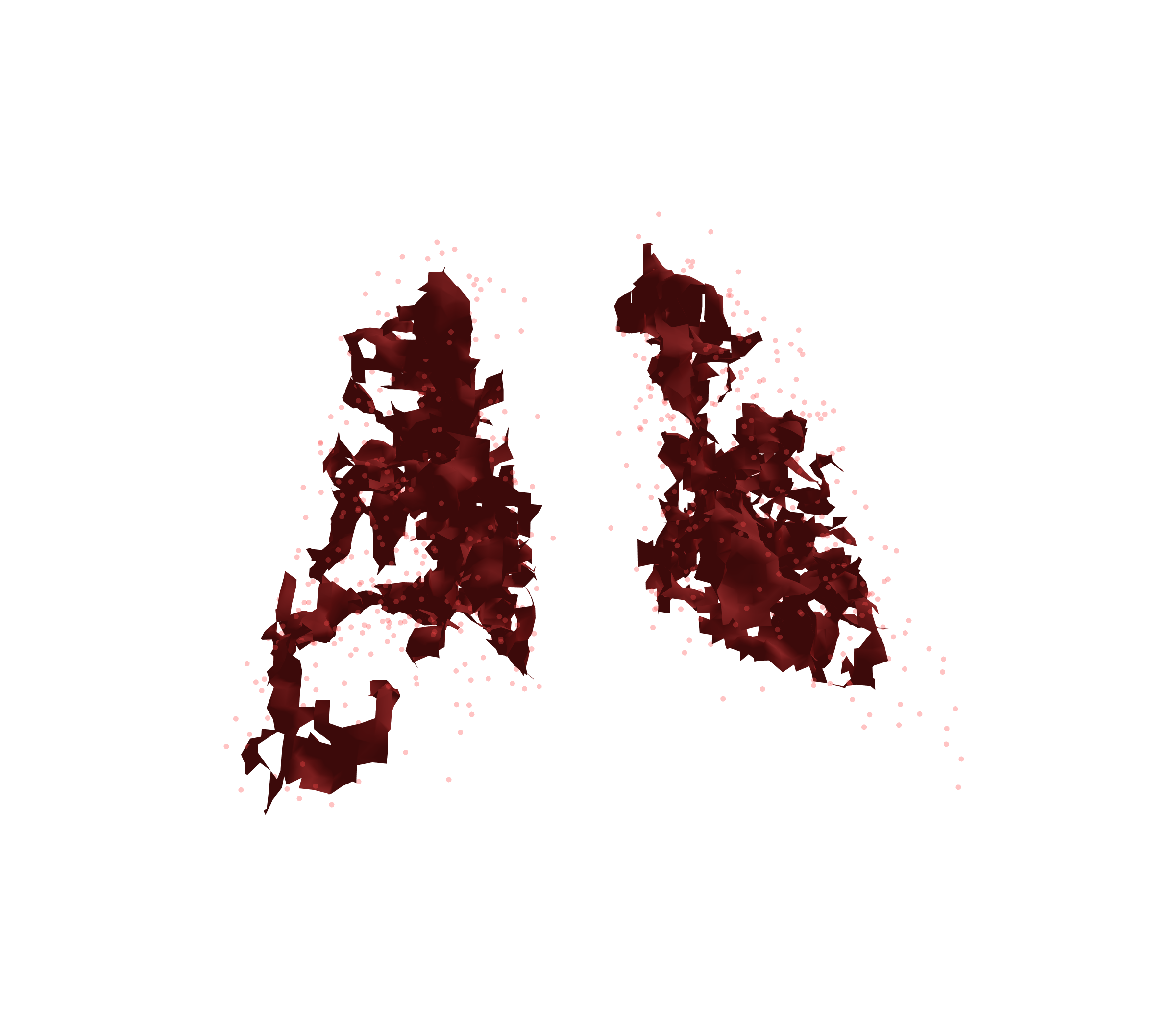 Combined Visualization (Expiration) - Back View