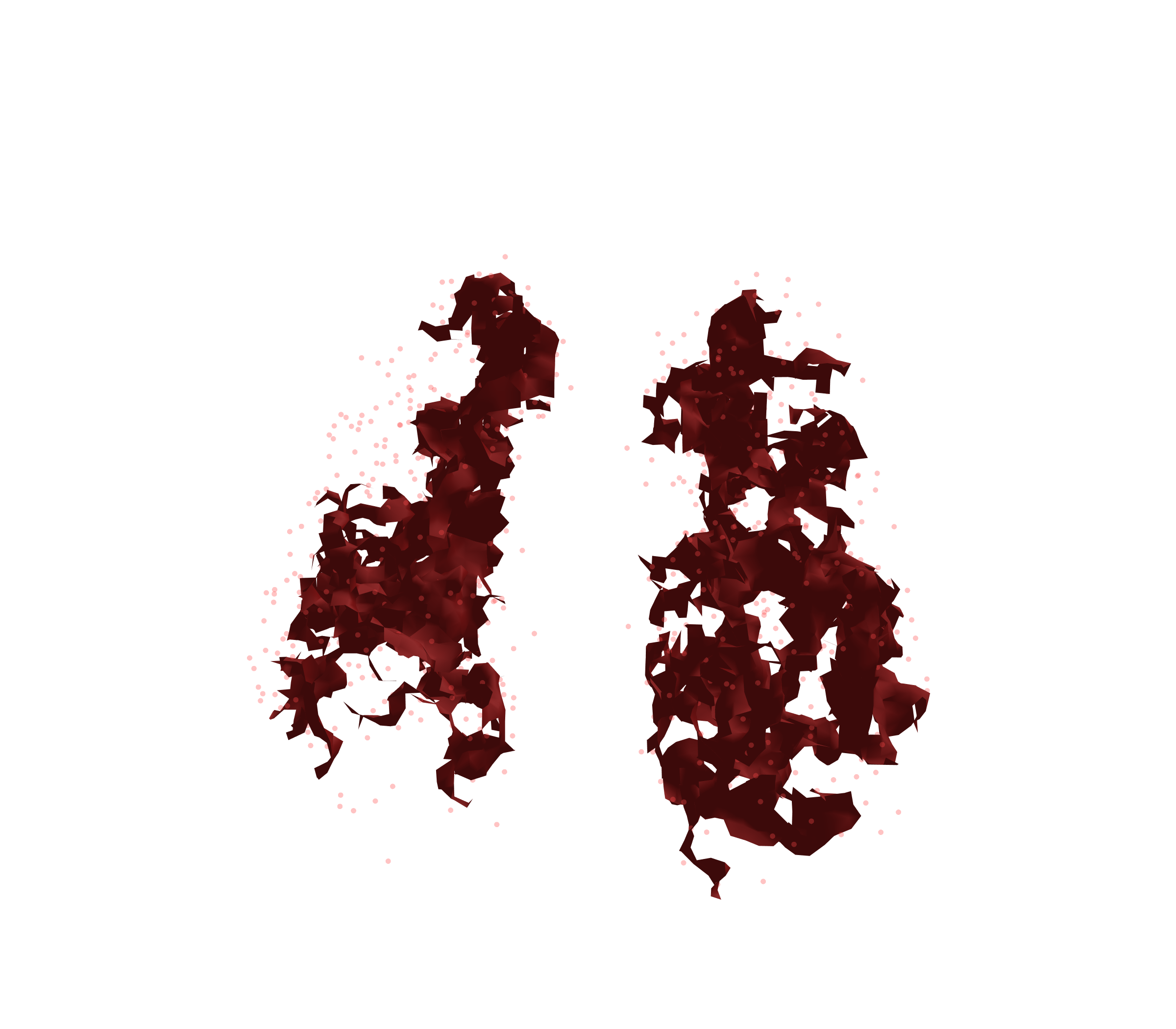 Combined Visualization (Expiration) - Front View