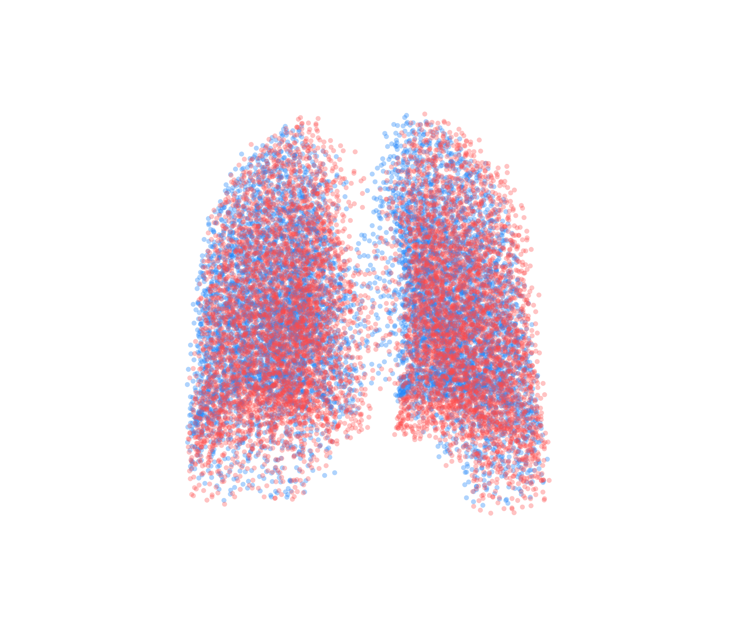 Point Cloud - Back View