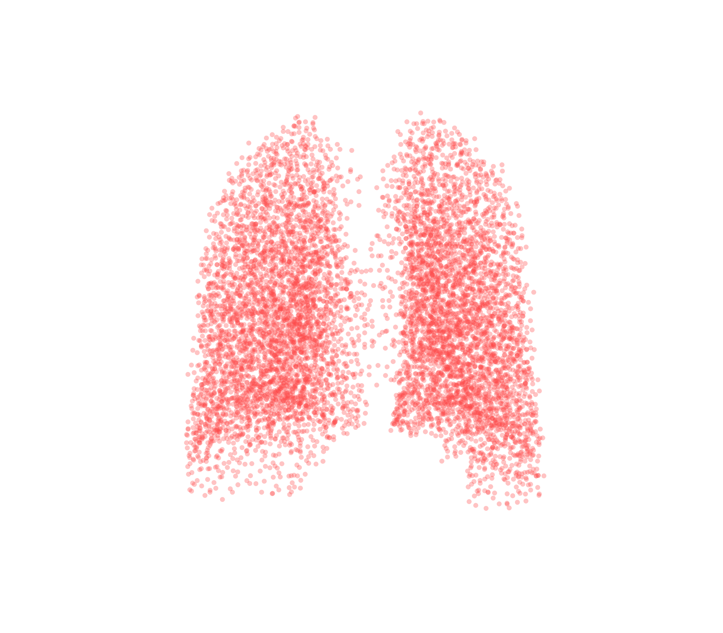 Point Cloud (Expiration) - Back View