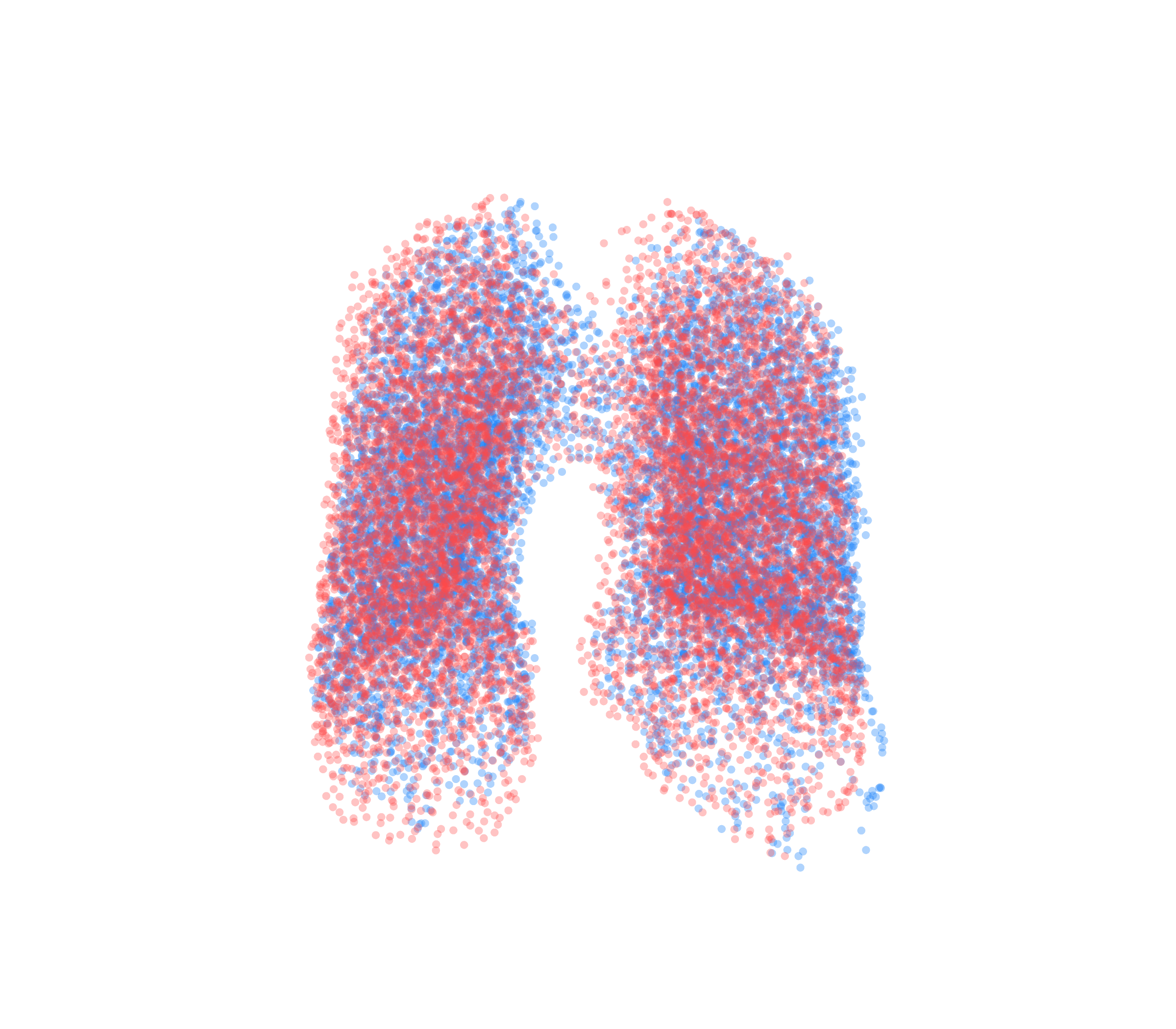 Point Cloud - Front View