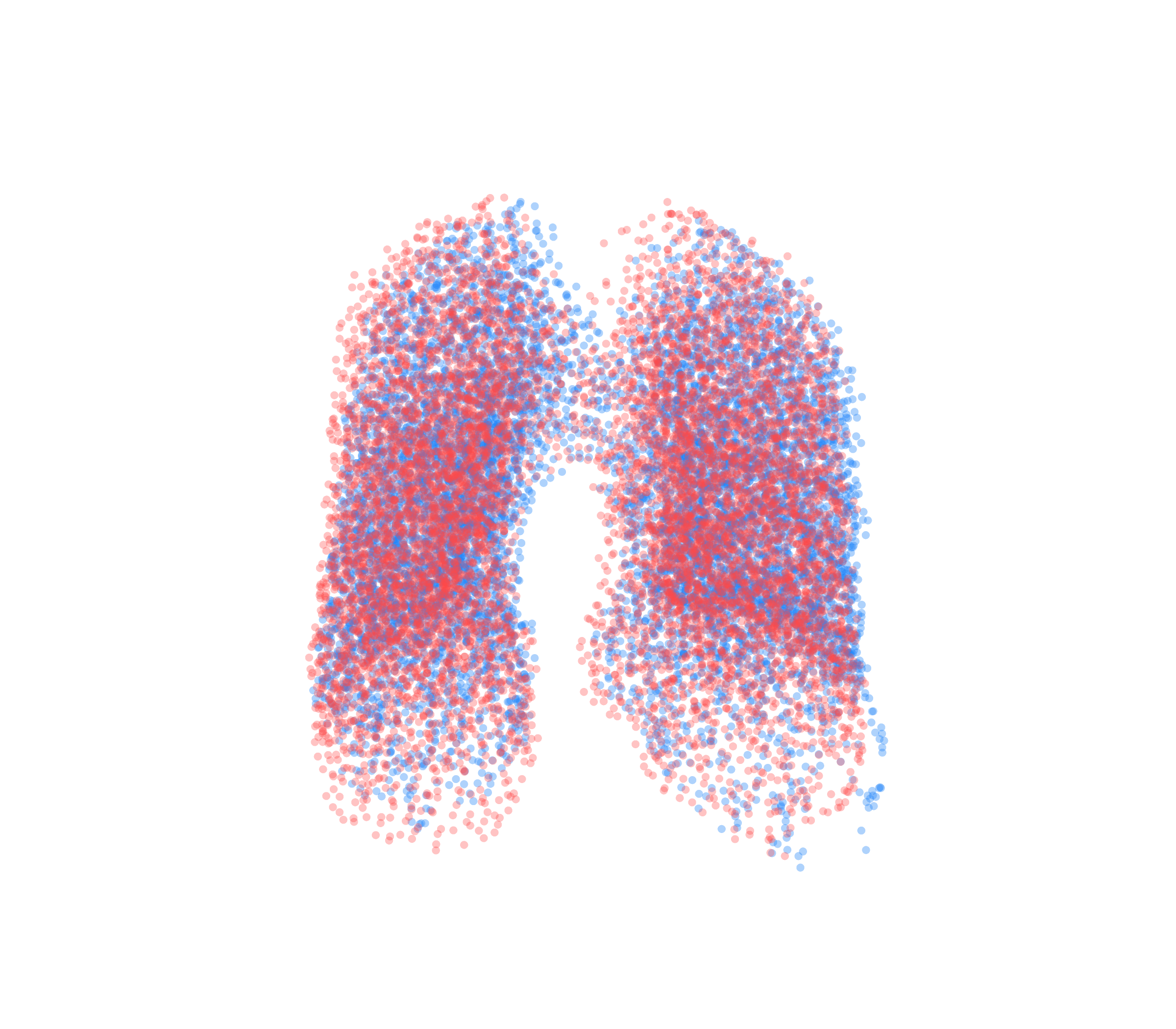 Point Cloud - Front View