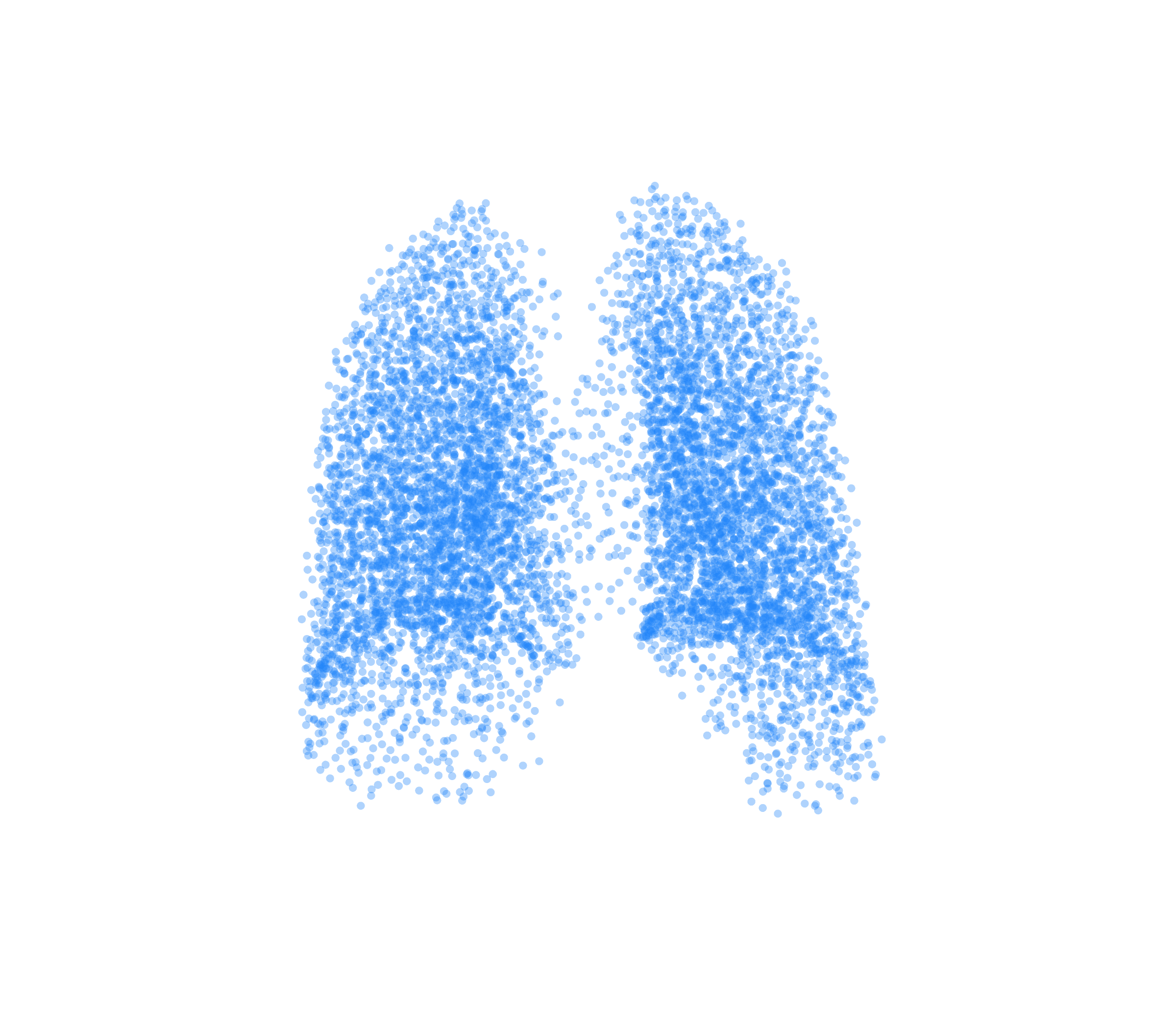 Point Cloud (Inspiration) - Back View