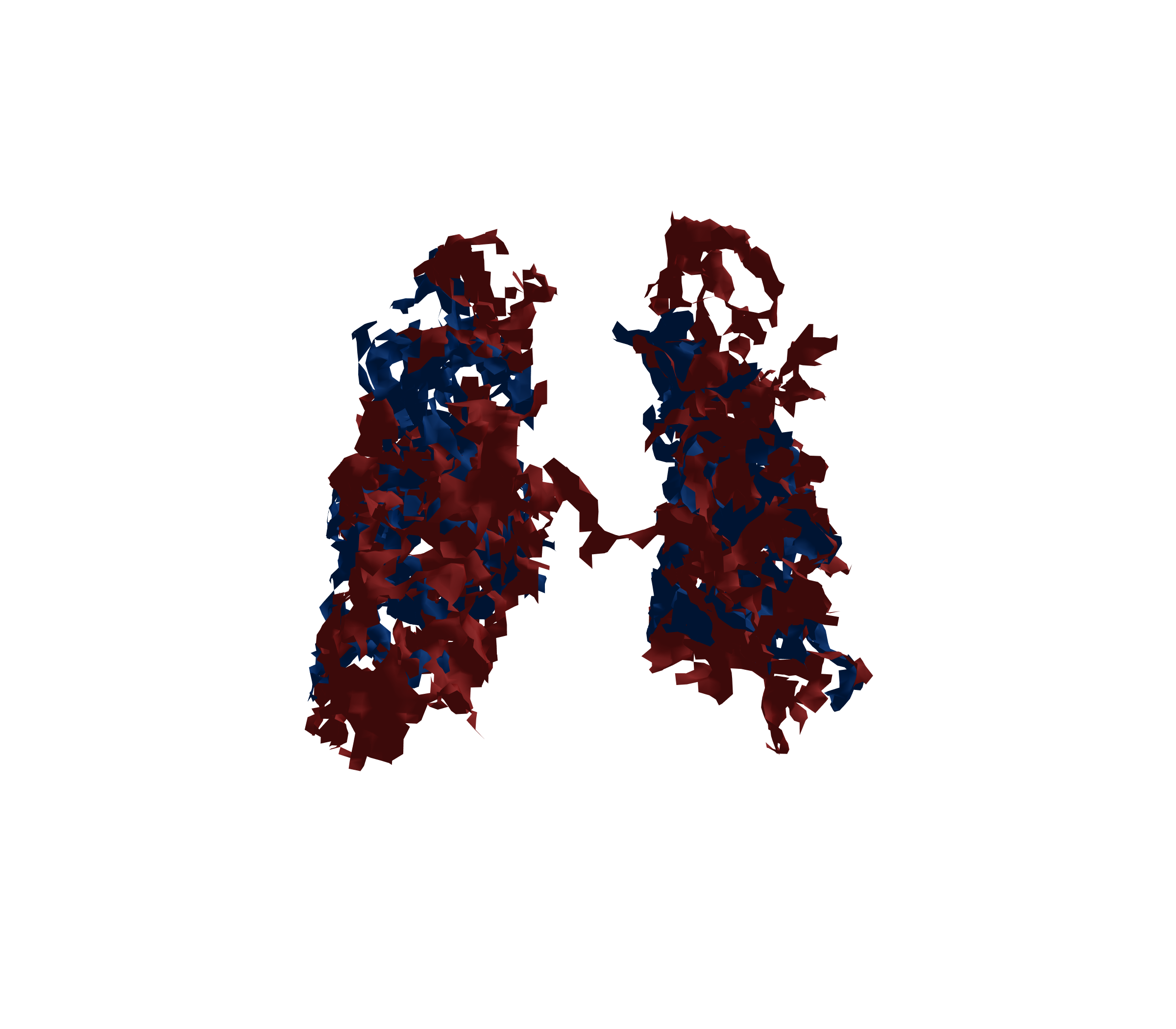 Surface Mesh - Back View