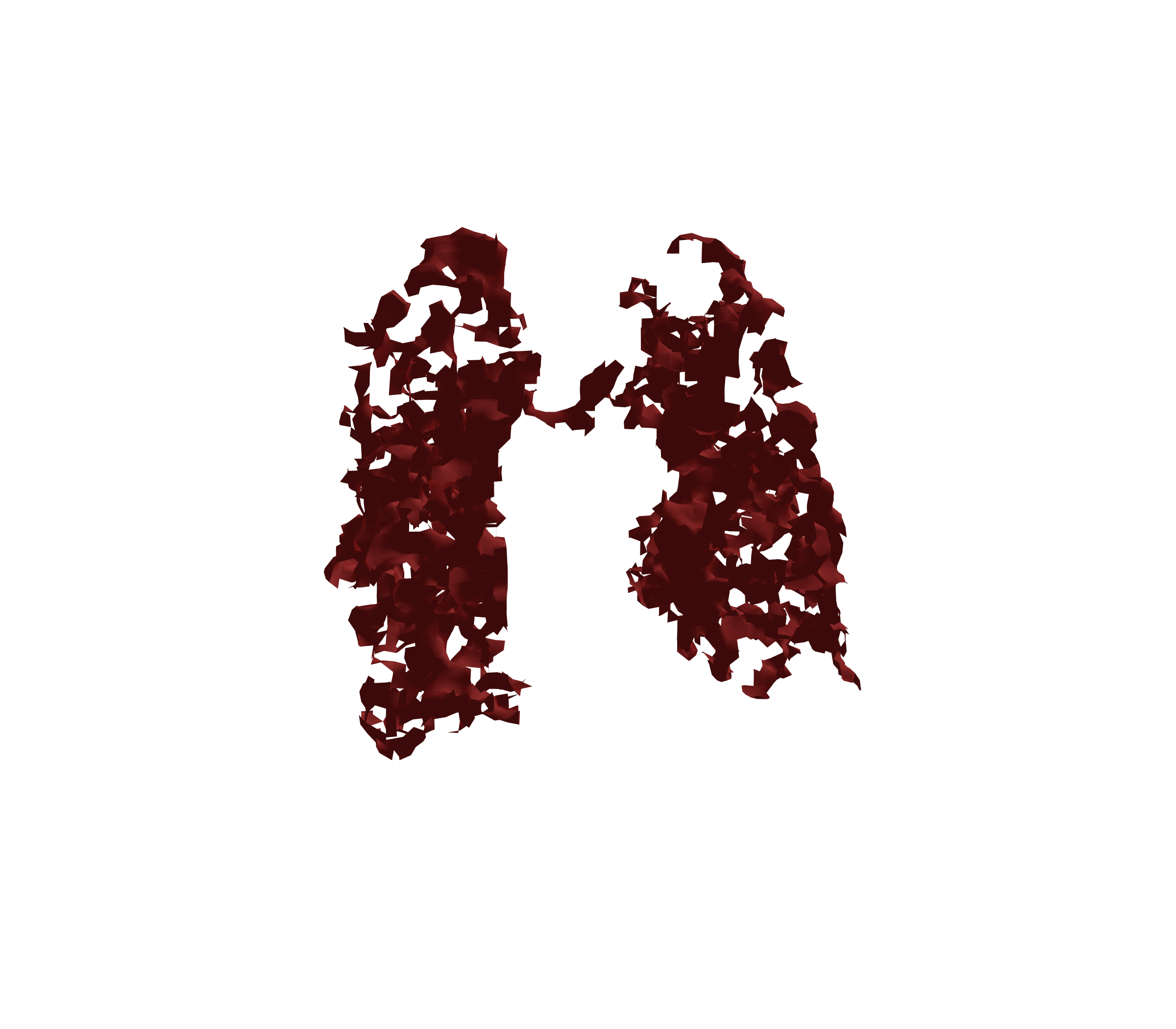 Surface Mesh (Expiration) - Front View