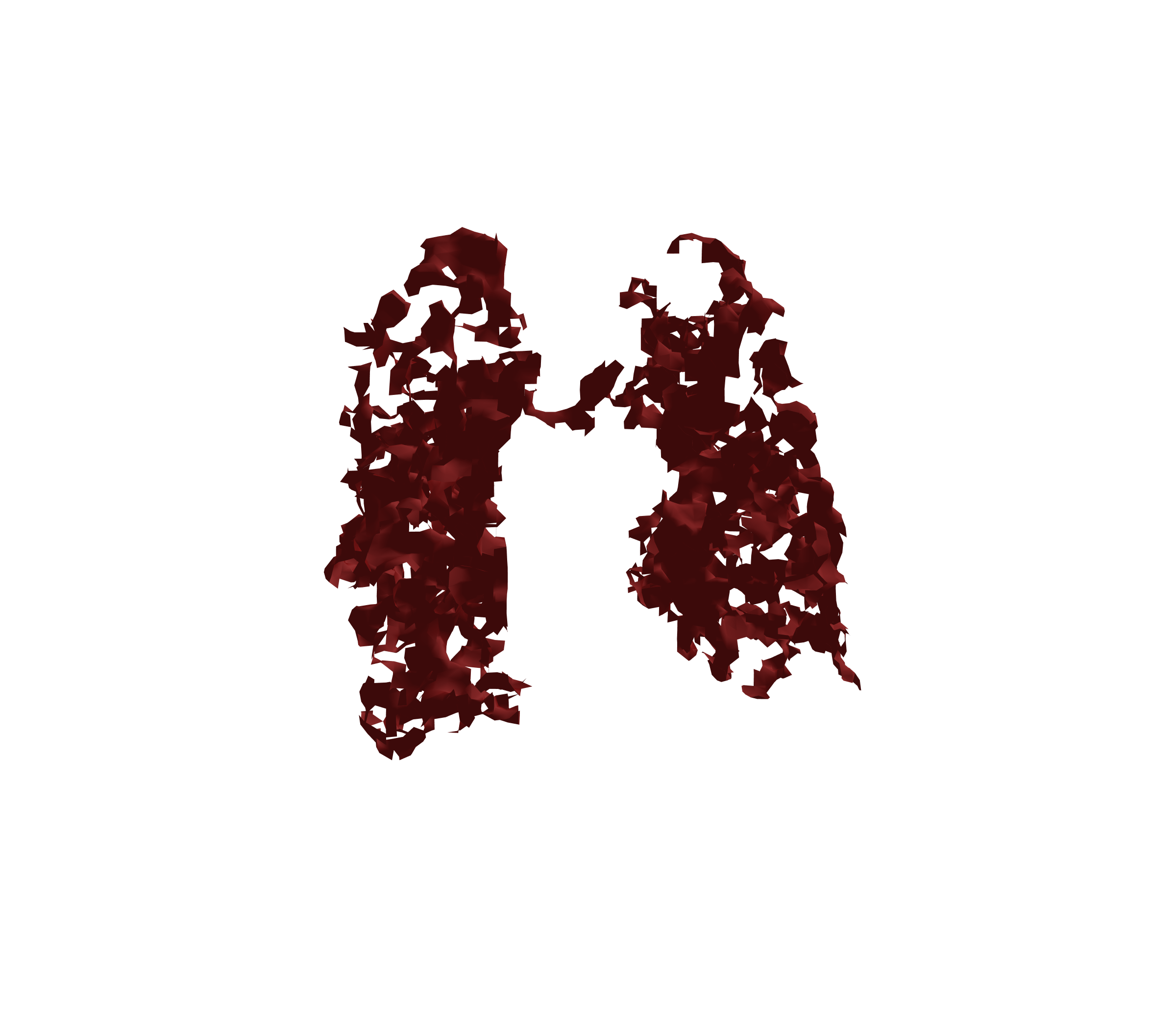 Surface Mesh (Expiration) - Front View