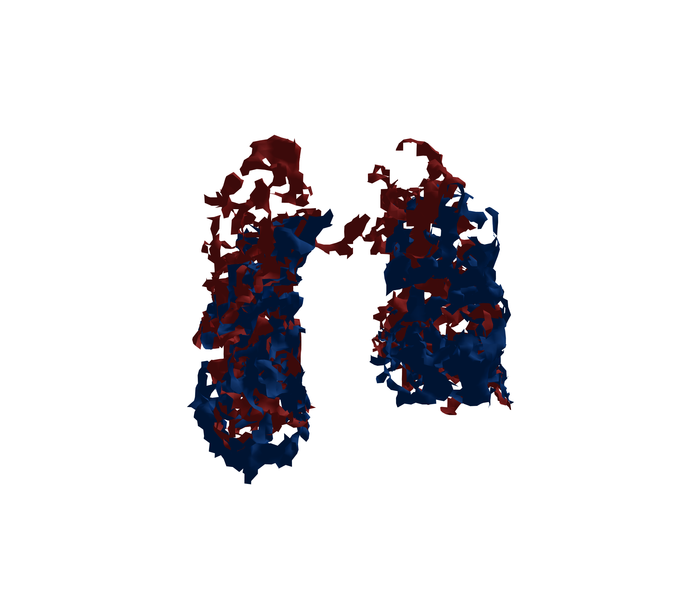 Surface Mesh - Front View