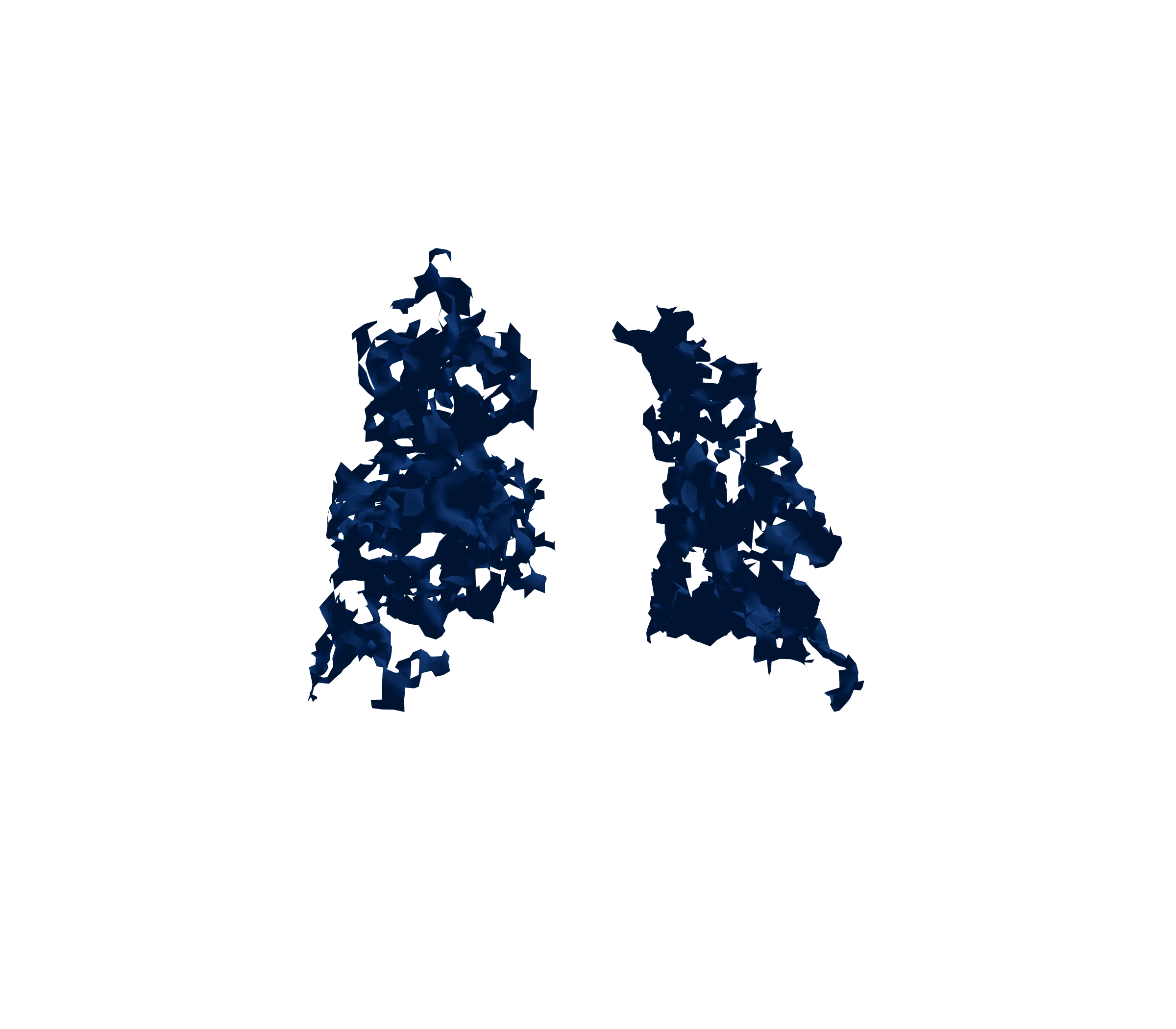 Surface Mesh (Inspiration) - Back View