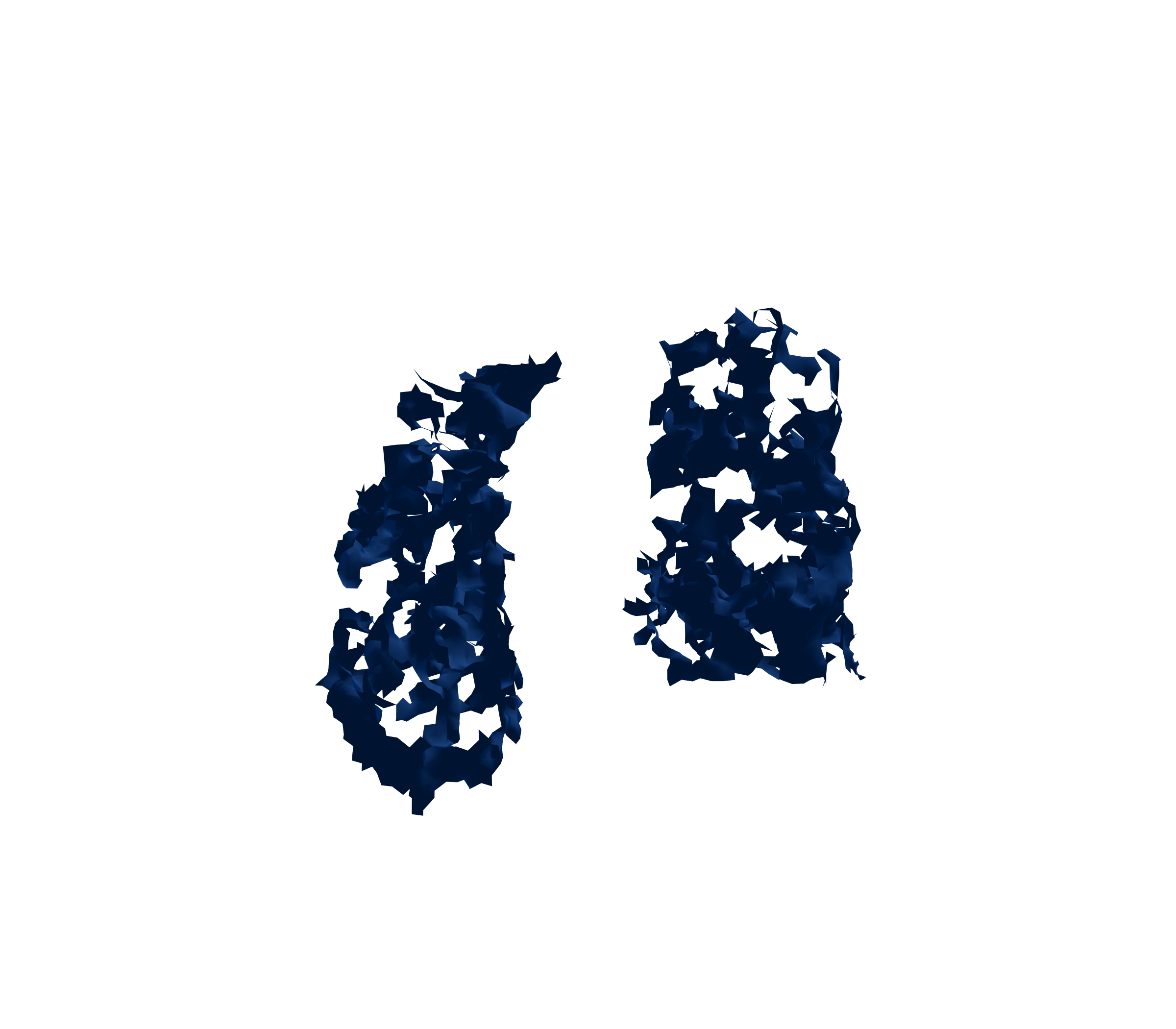 Surface Mesh (Inspiration) - Front View