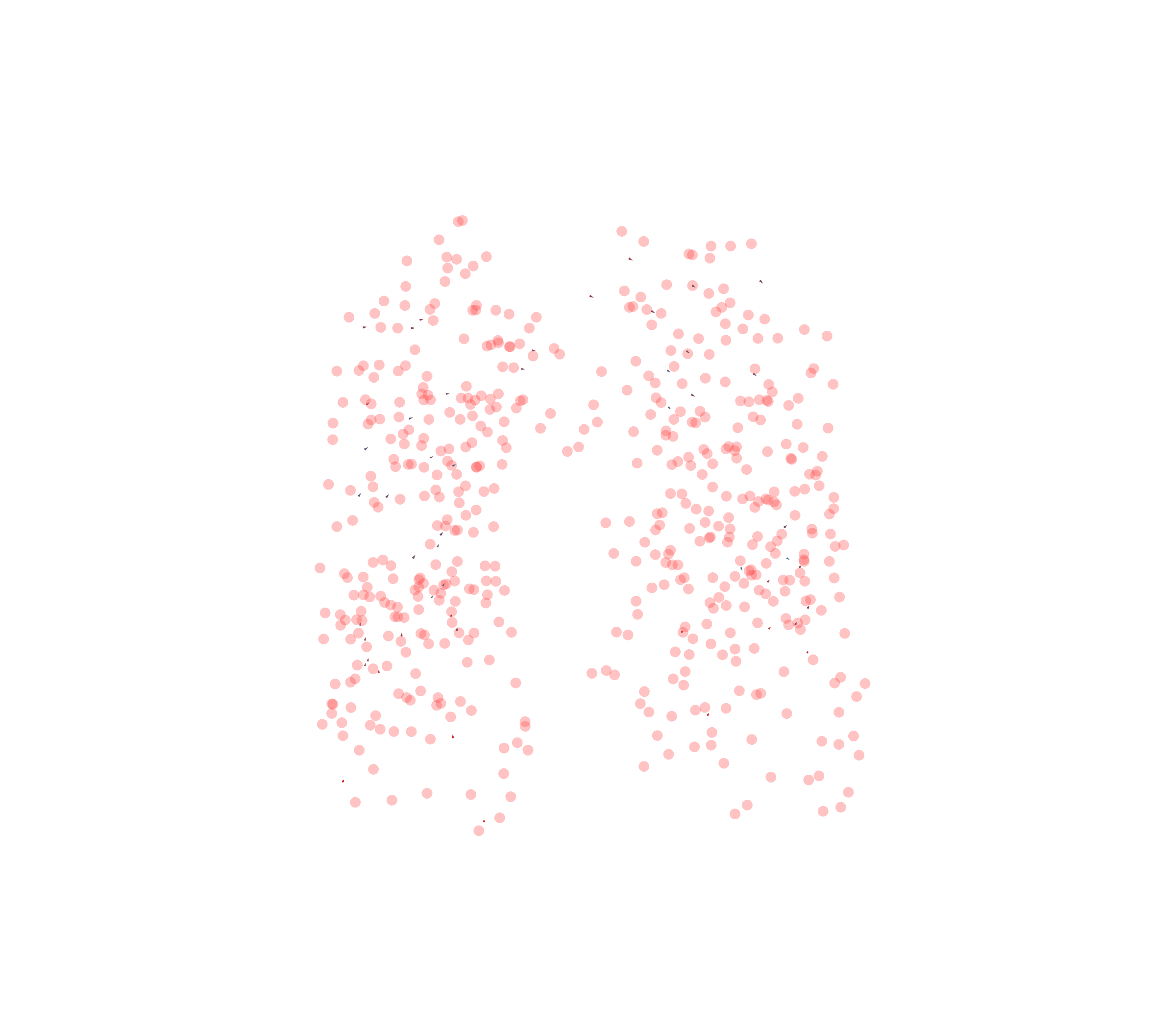 Displacement Vectors - Front View