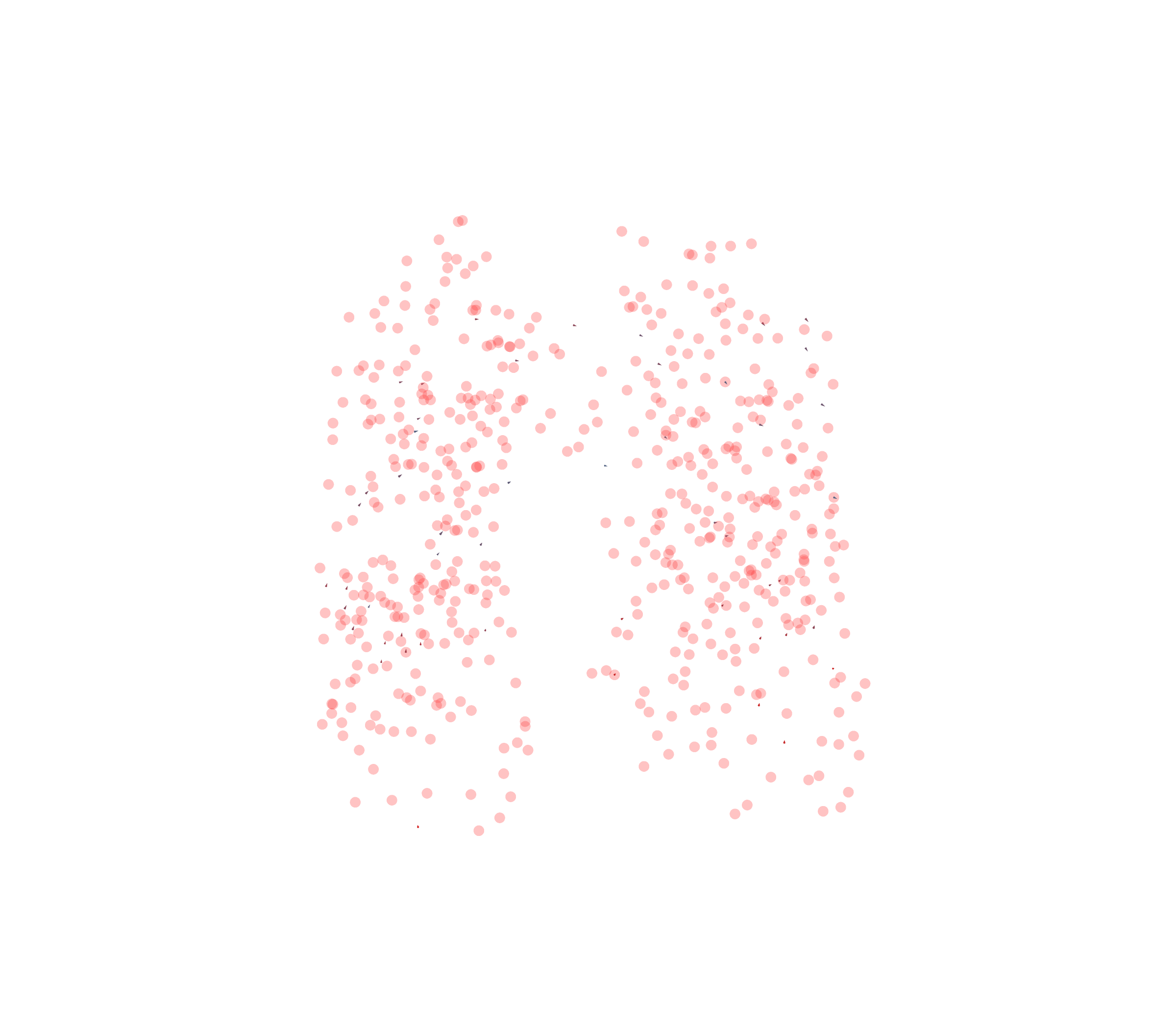 Displacement Vectors - Front View