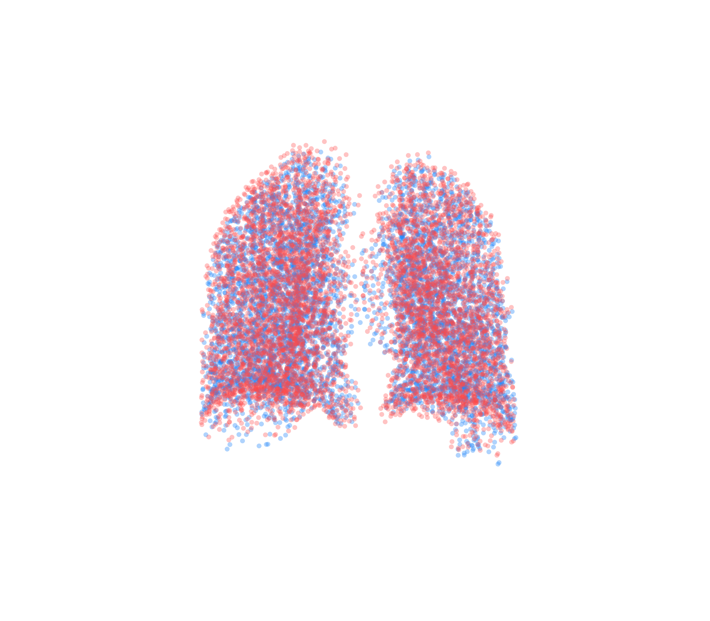 Point Cloud - Back View