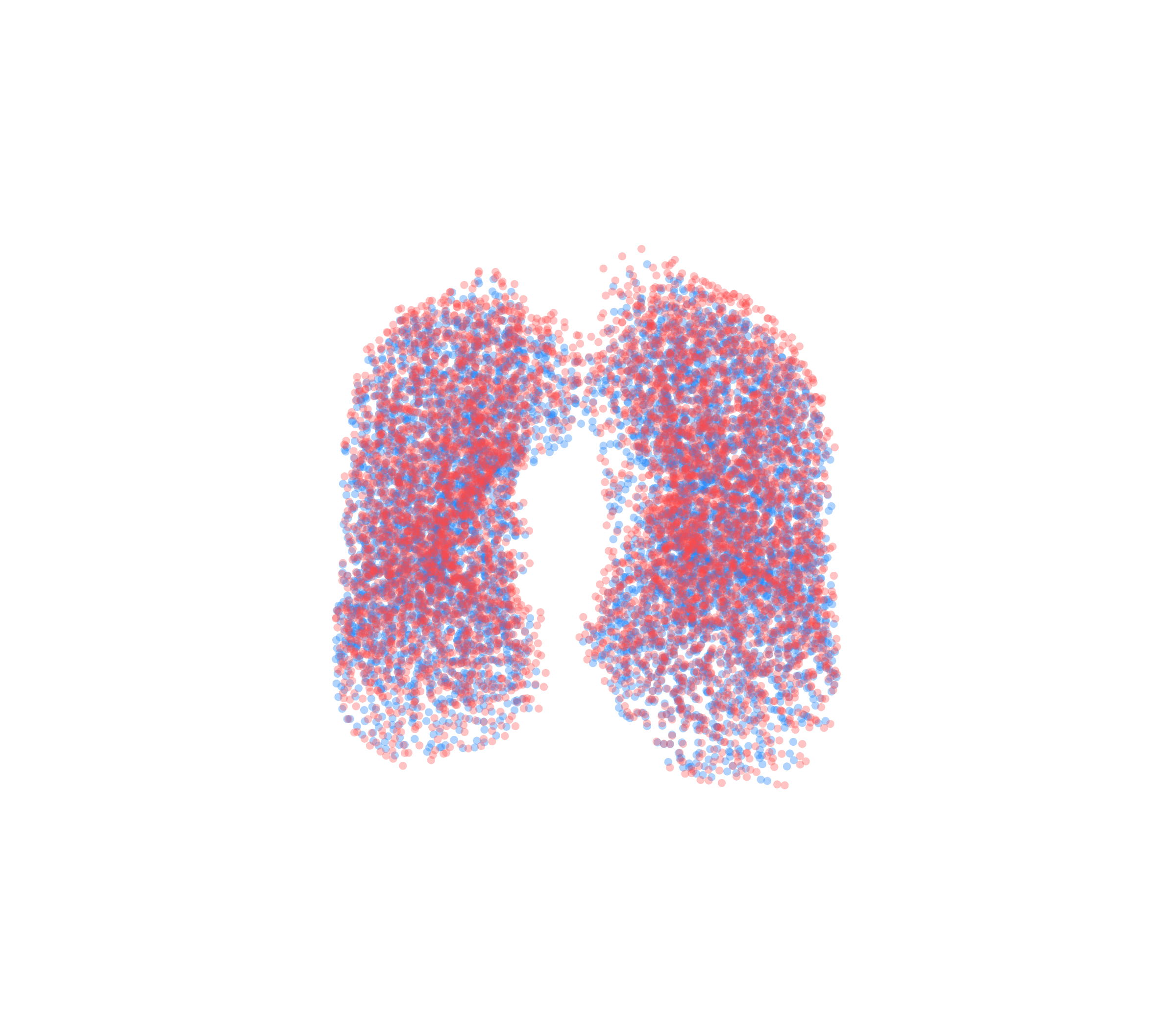 Point Cloud - Front View
