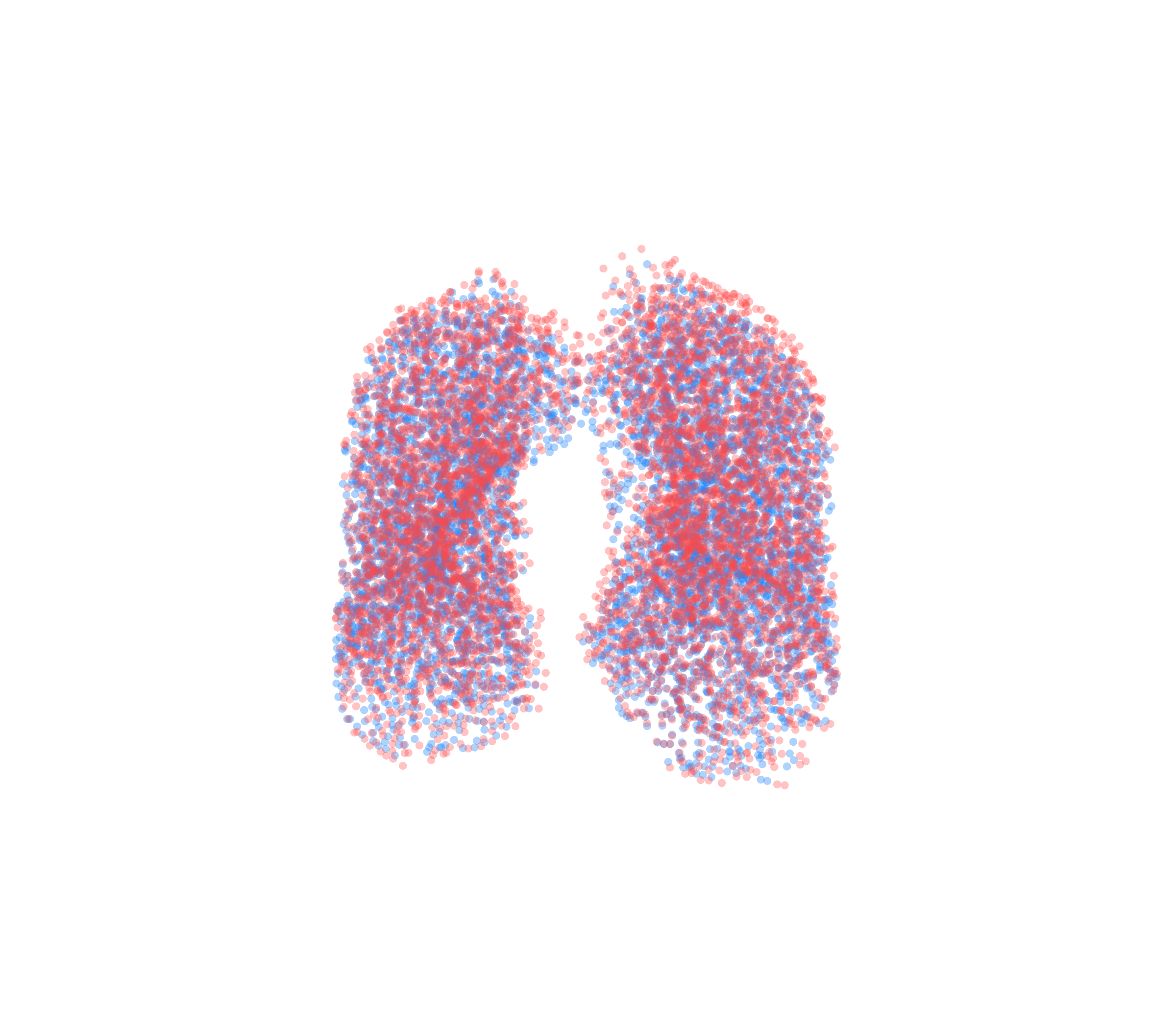 Point Cloud - Front View