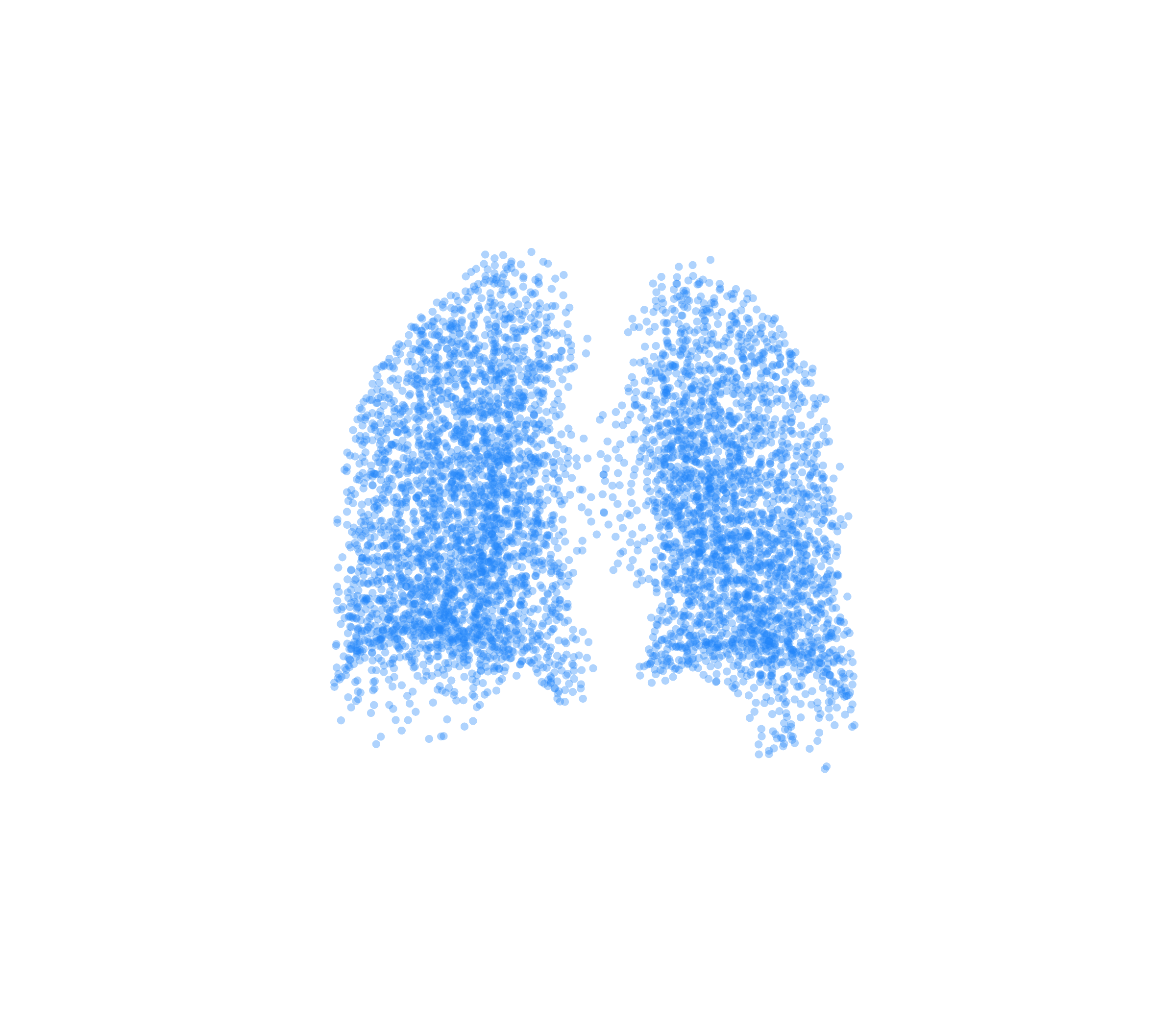 Point Cloud (Inspiration) - Back View