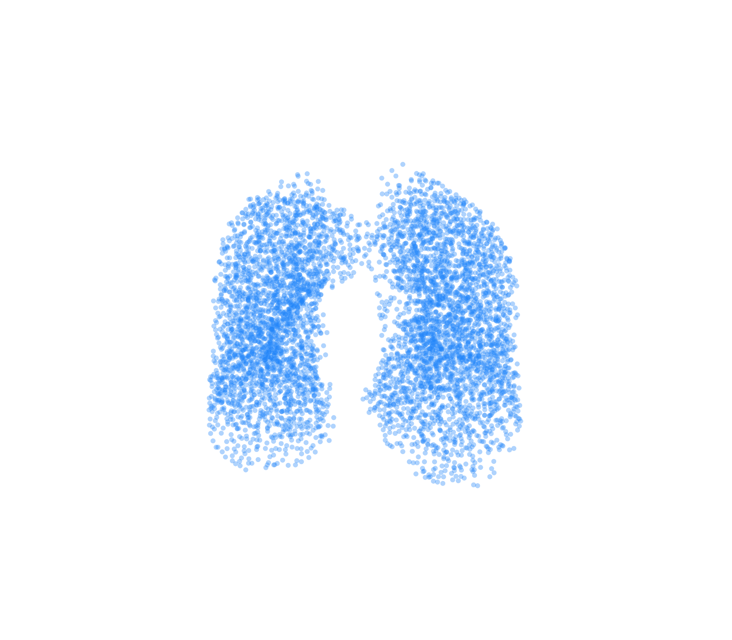 Point Cloud (Inspiration) - Front View