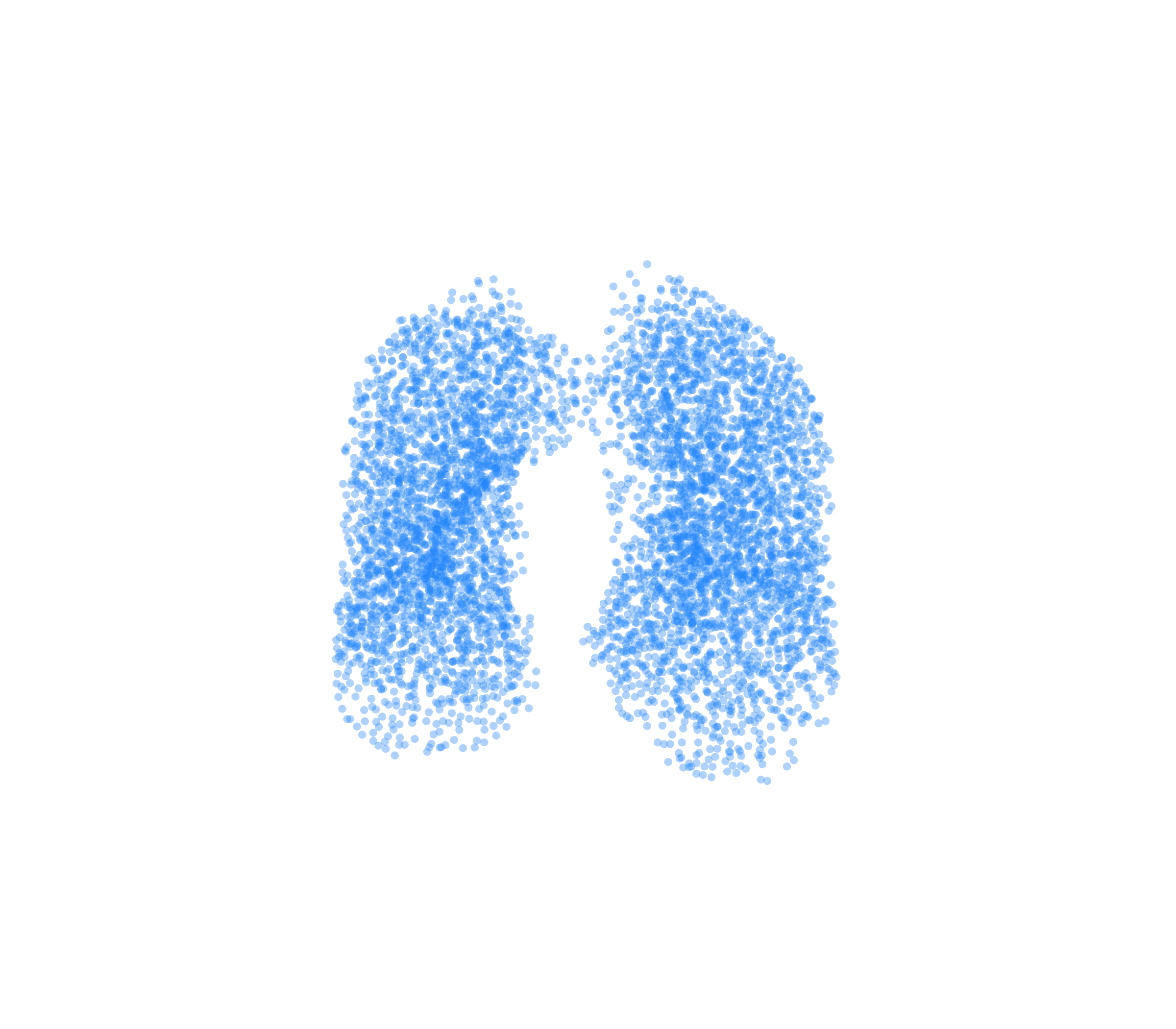 Point Cloud (Inspiration) - Front View