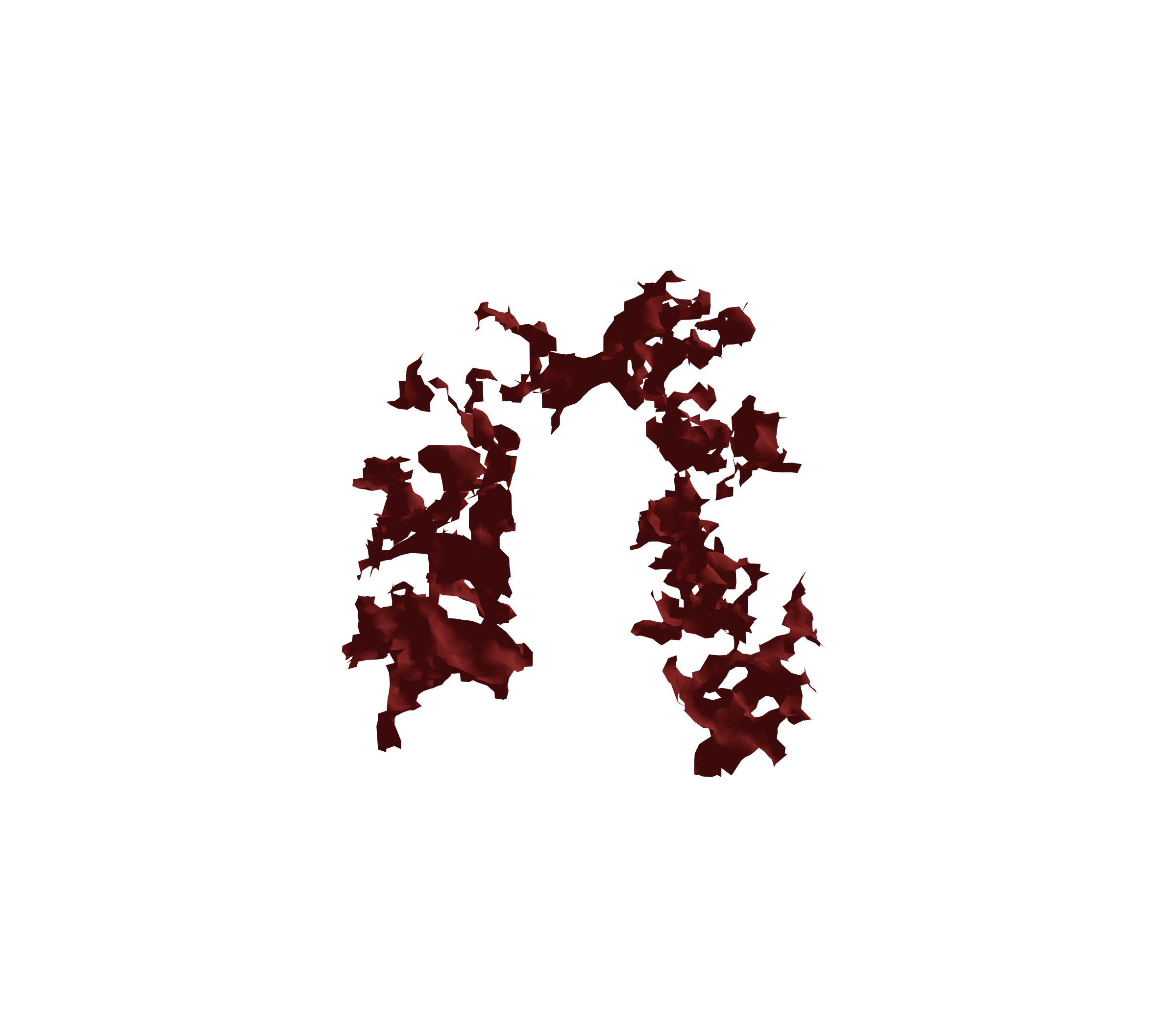 Surface Mesh (Expiration) - Front View