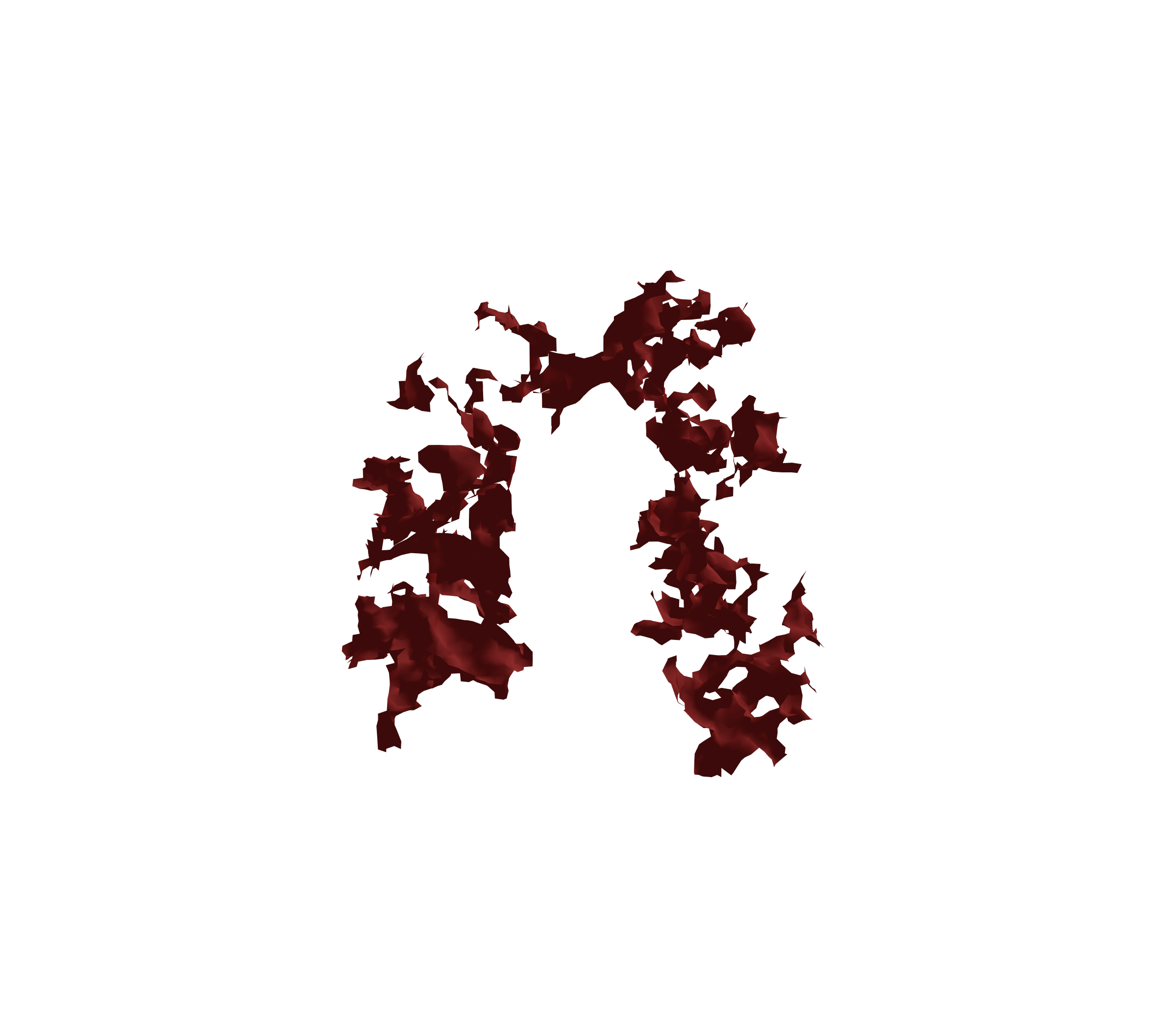 Surface Mesh (Expiration) - Front View