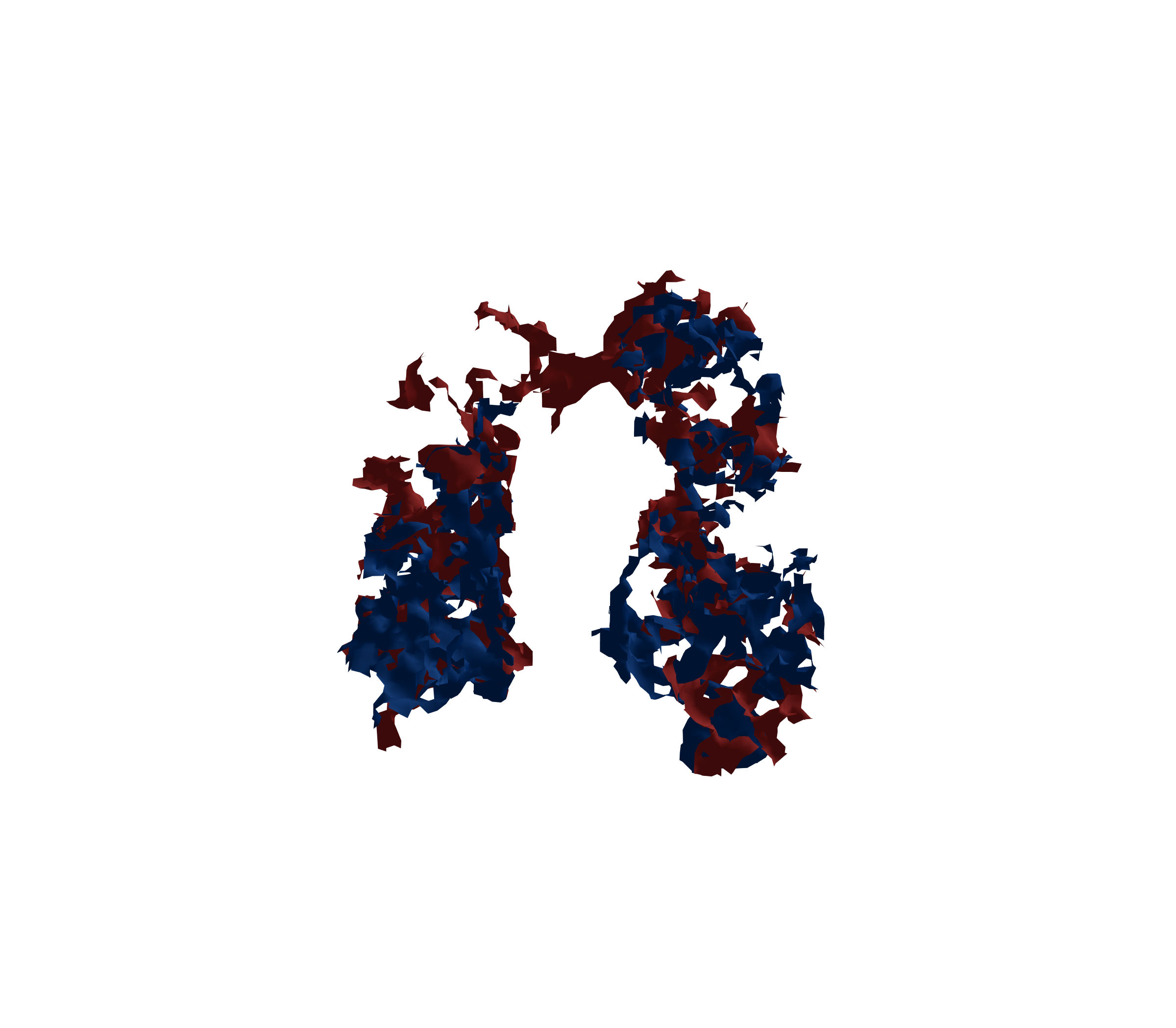 Surface Mesh - Front View