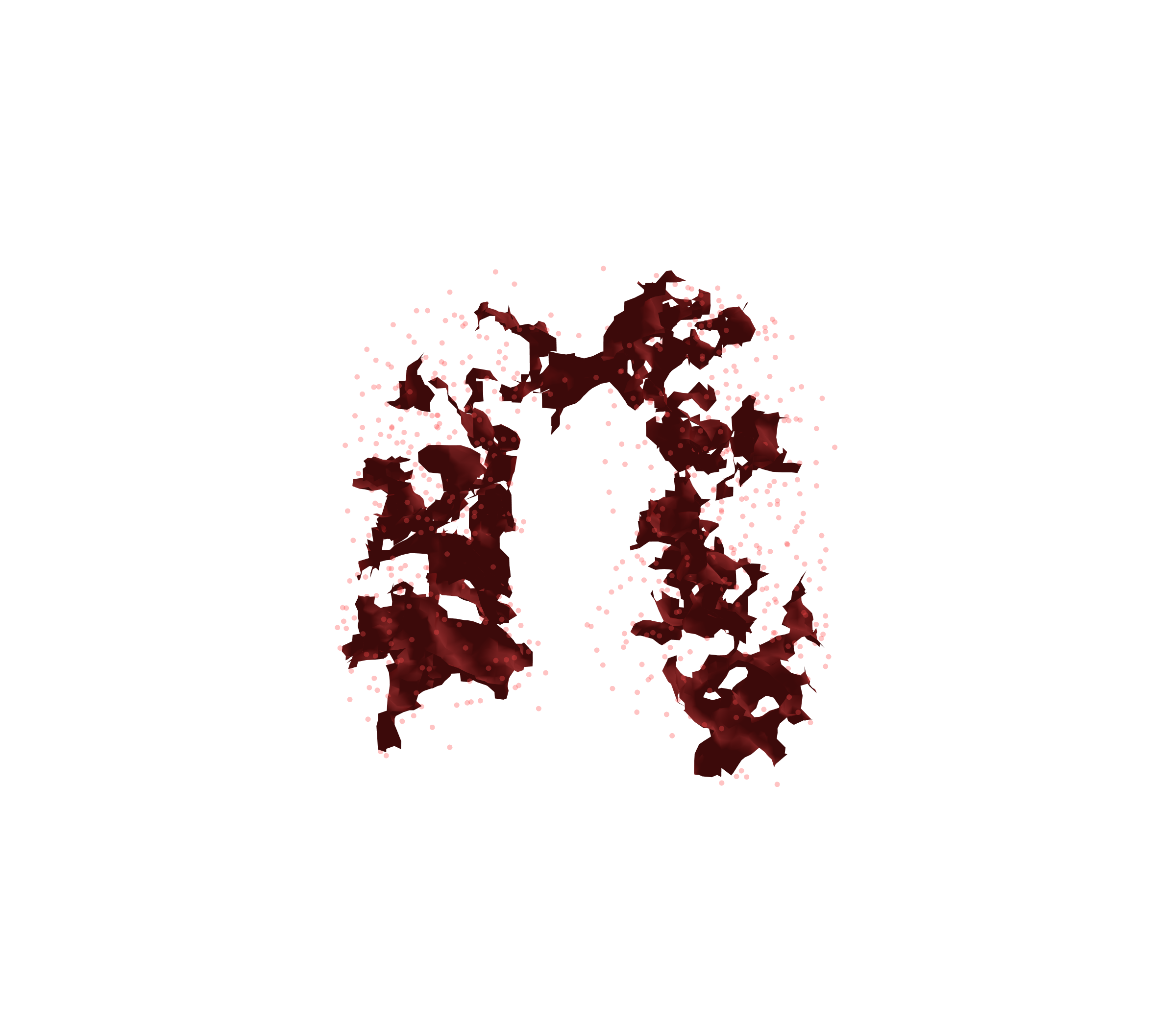 Combined Visualization (Expiration) - Front View