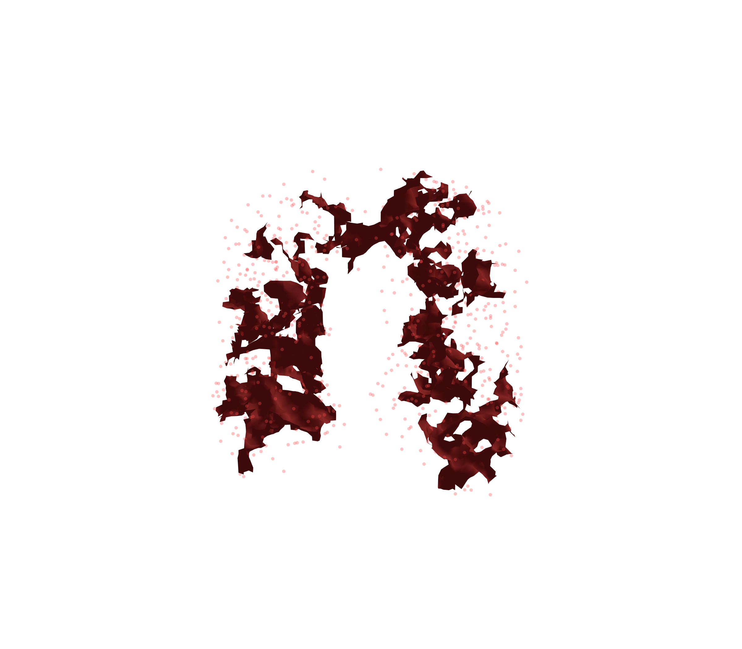 Combined Visualization (Expiration) - Front View