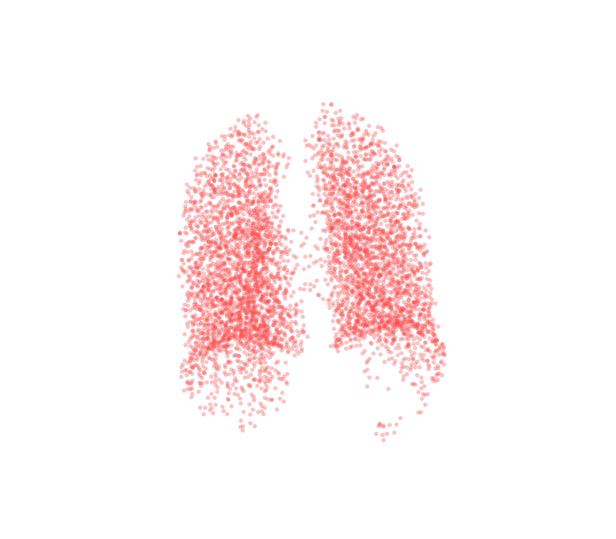 Point Cloud (Expiration) - Back View