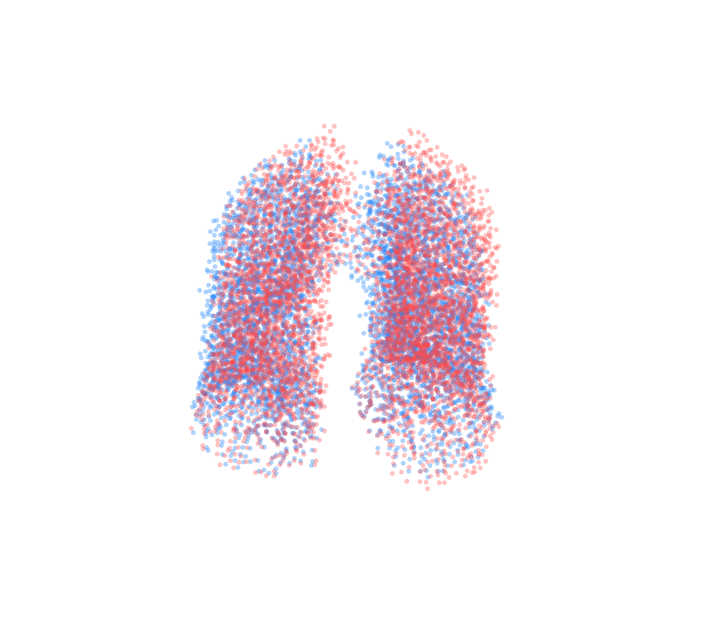 Point Cloud - Front View