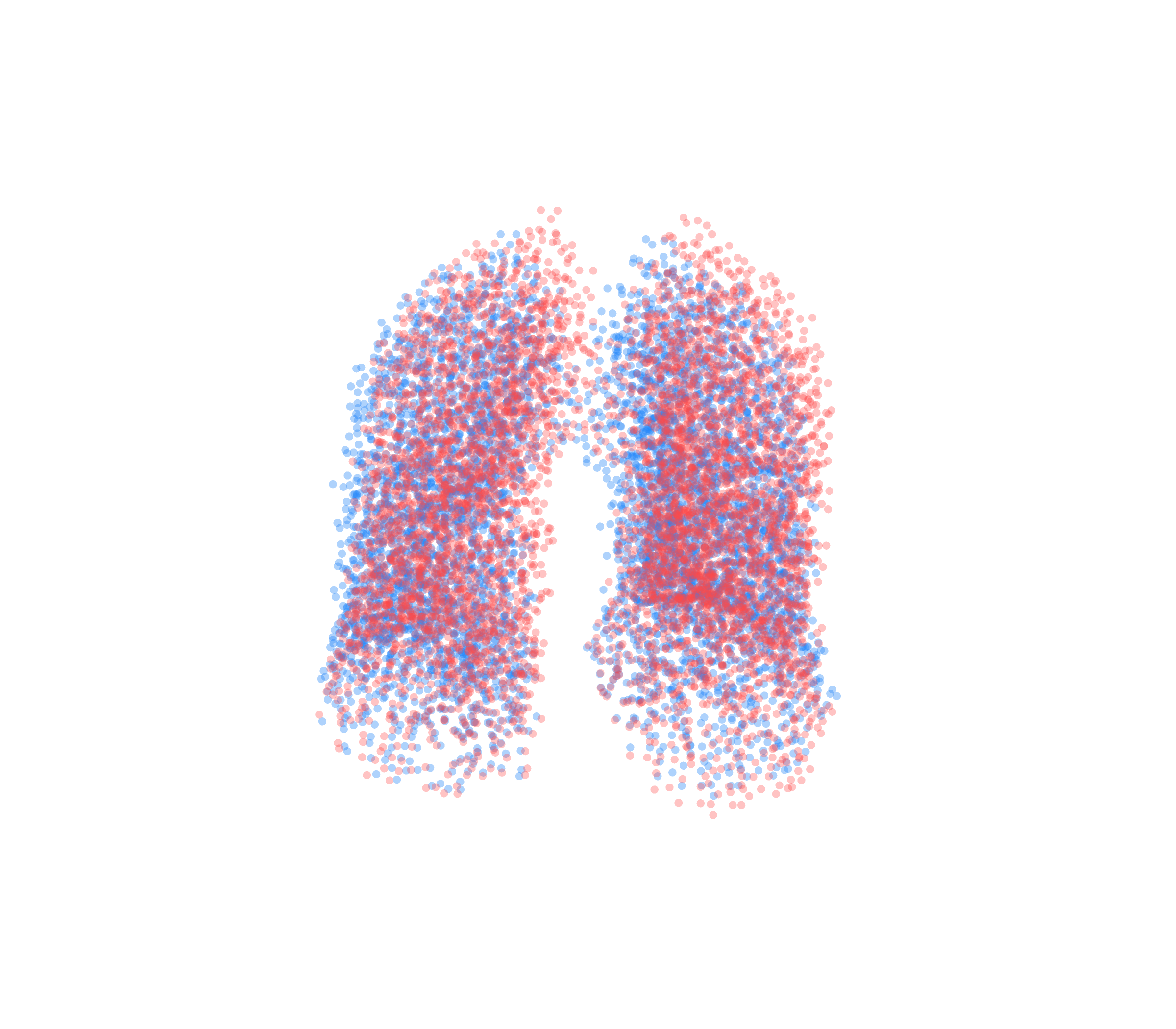 Point Cloud - Front View