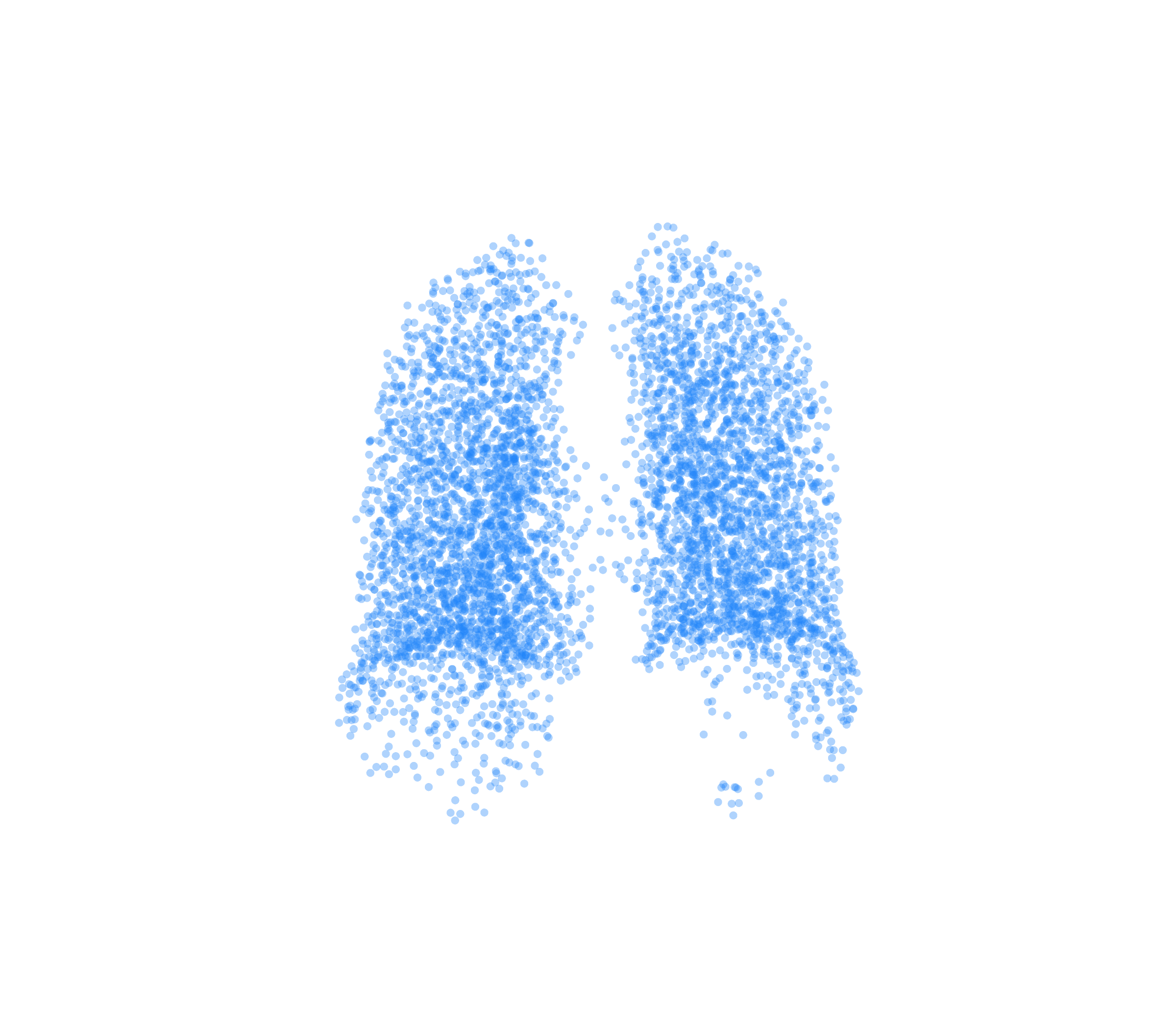 Point Cloud (Inspiration) - Back View