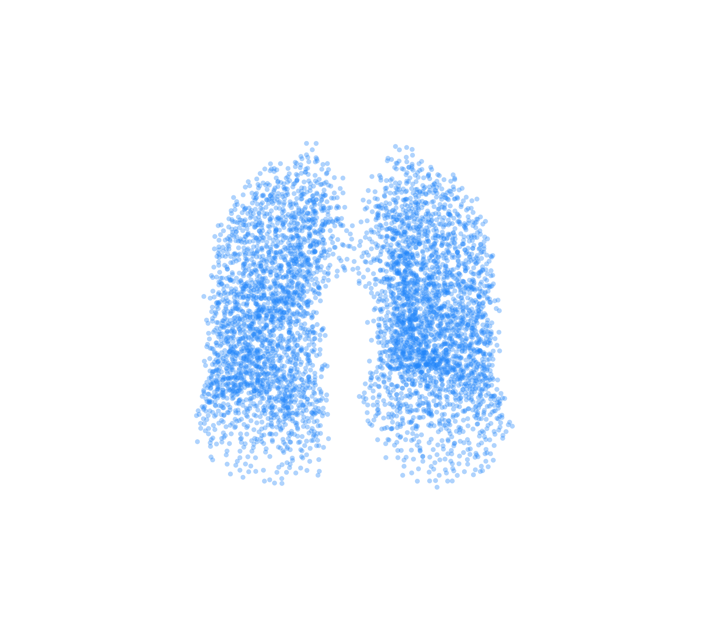 Point Cloud (Inspiration) - Front View