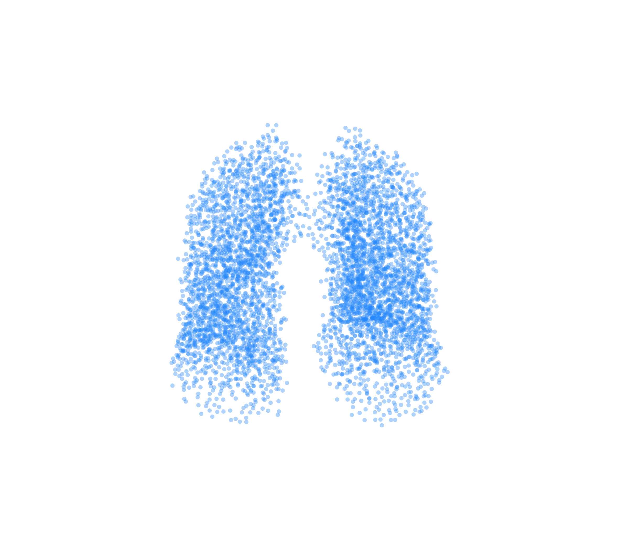 Point Cloud (Inspiration) - Front View