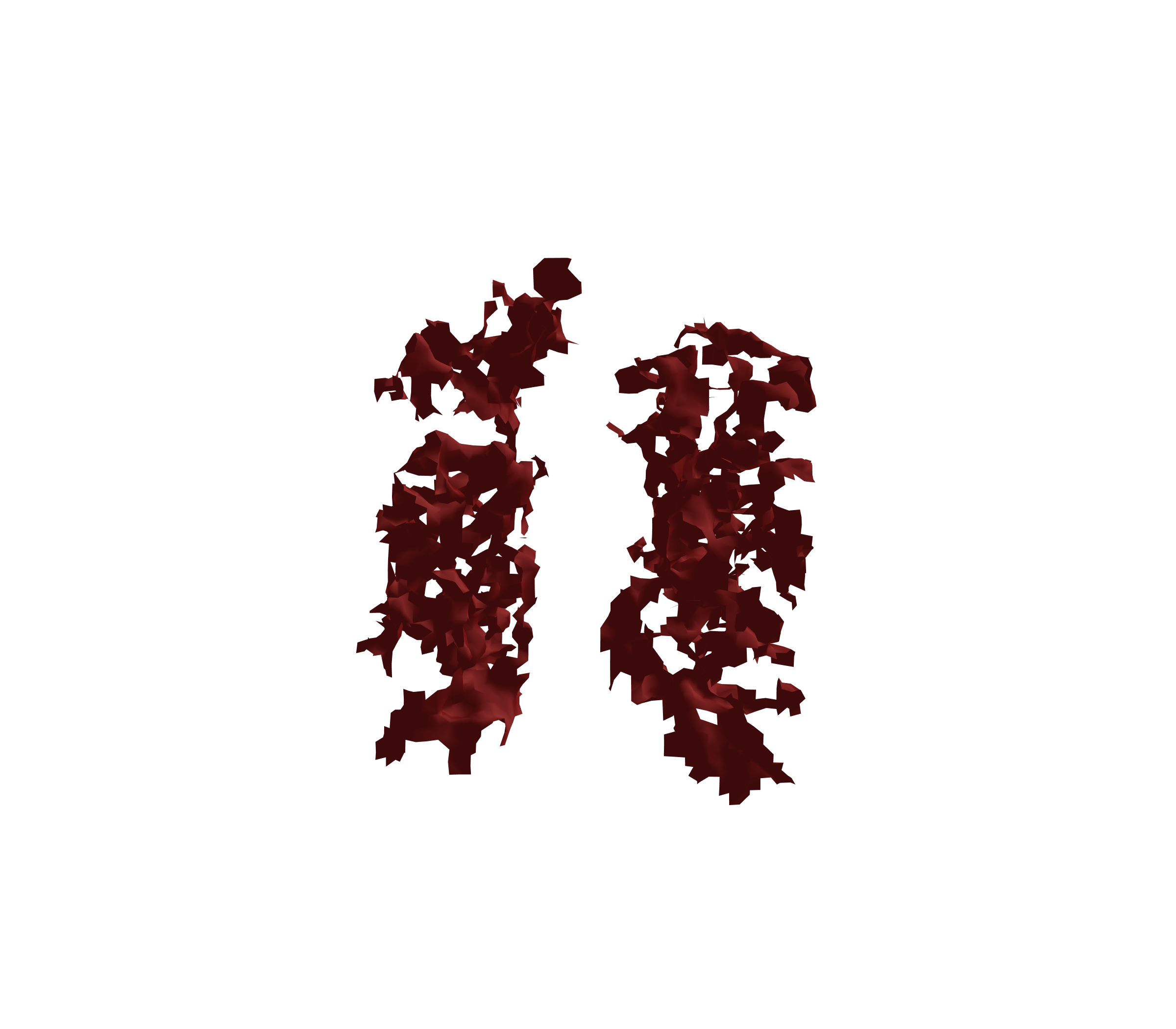 Surface Mesh (Expiration) - Front View