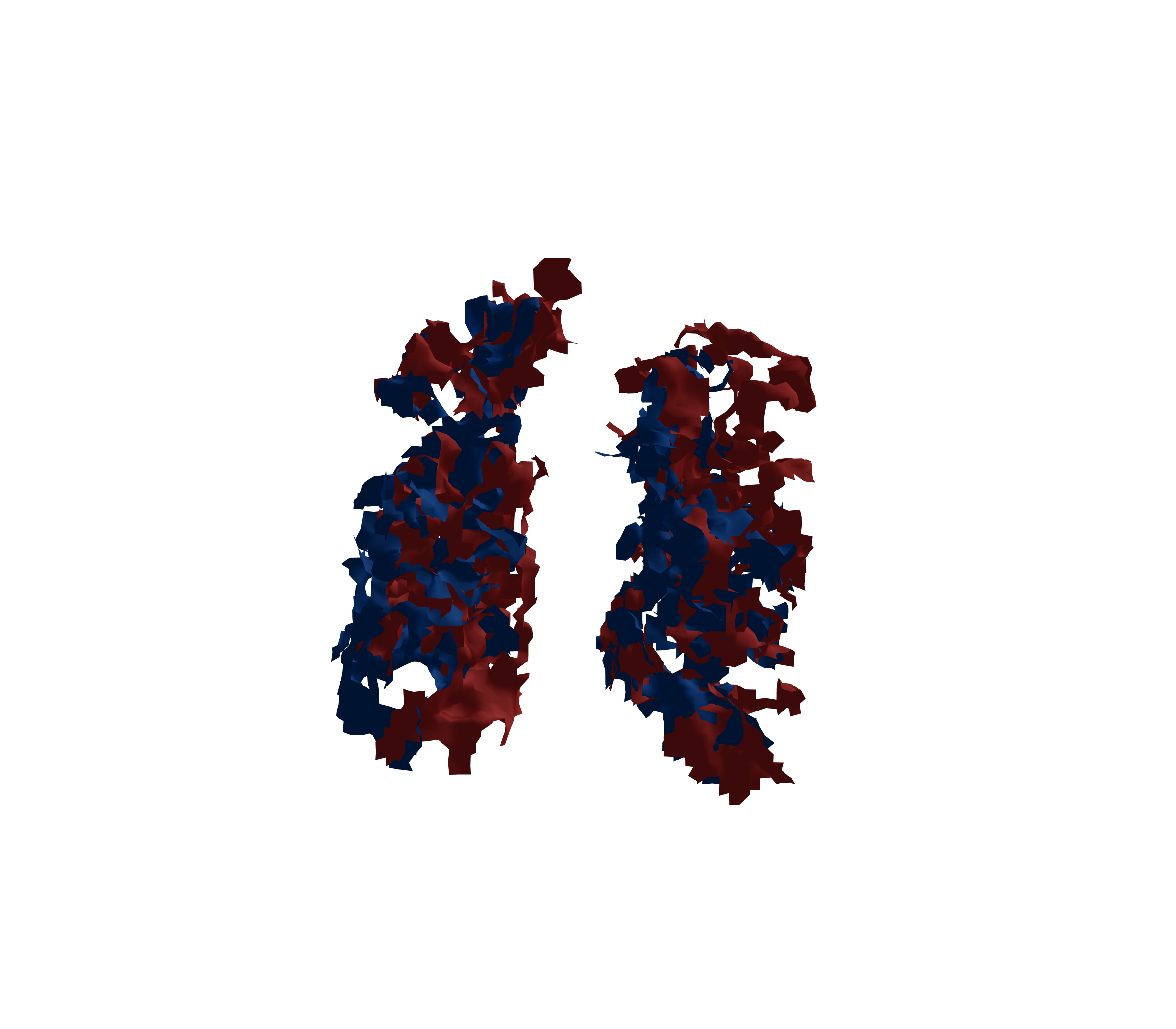 Surface Mesh - Front View