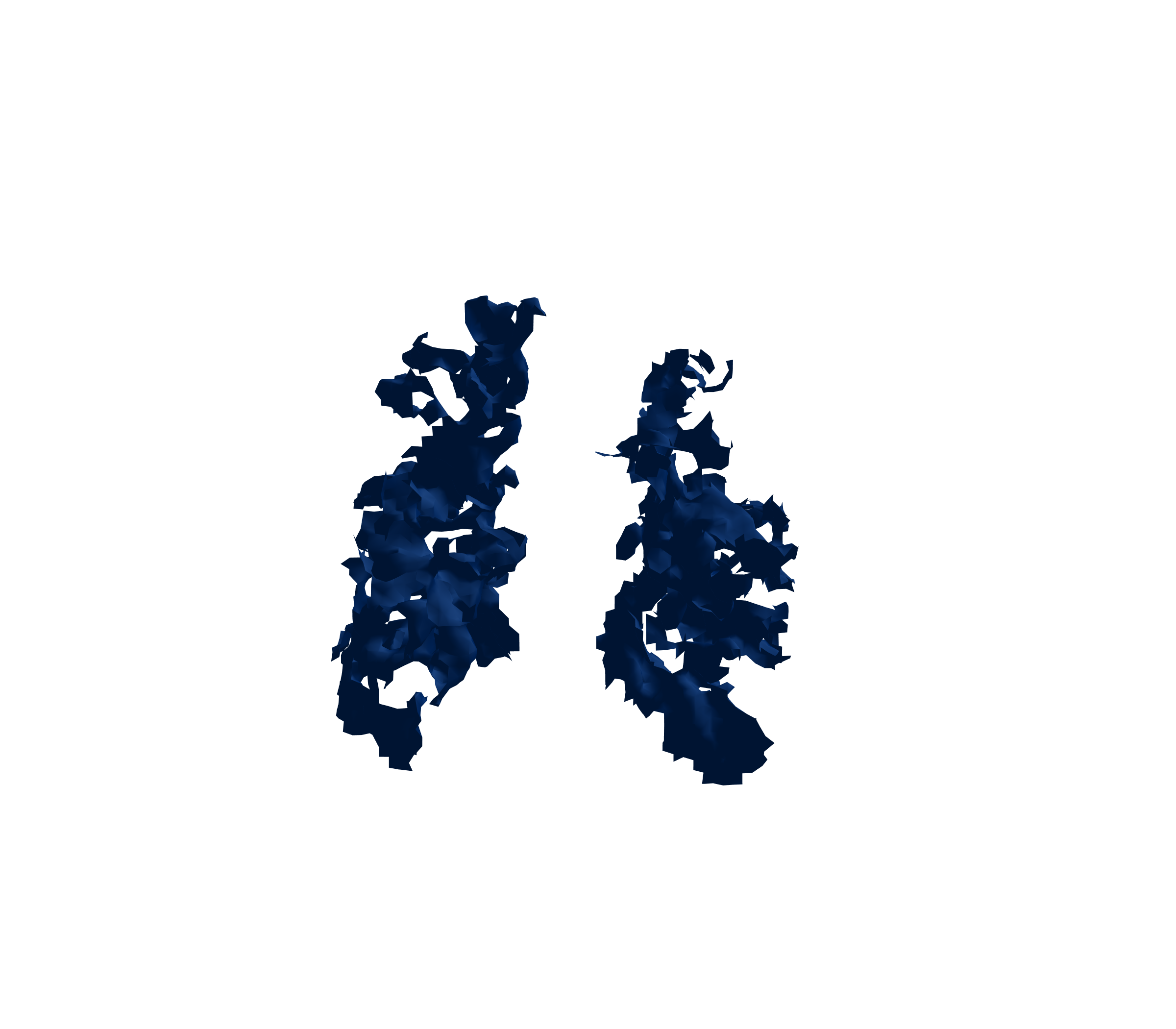 Surface Mesh (Inspiration) - Front View