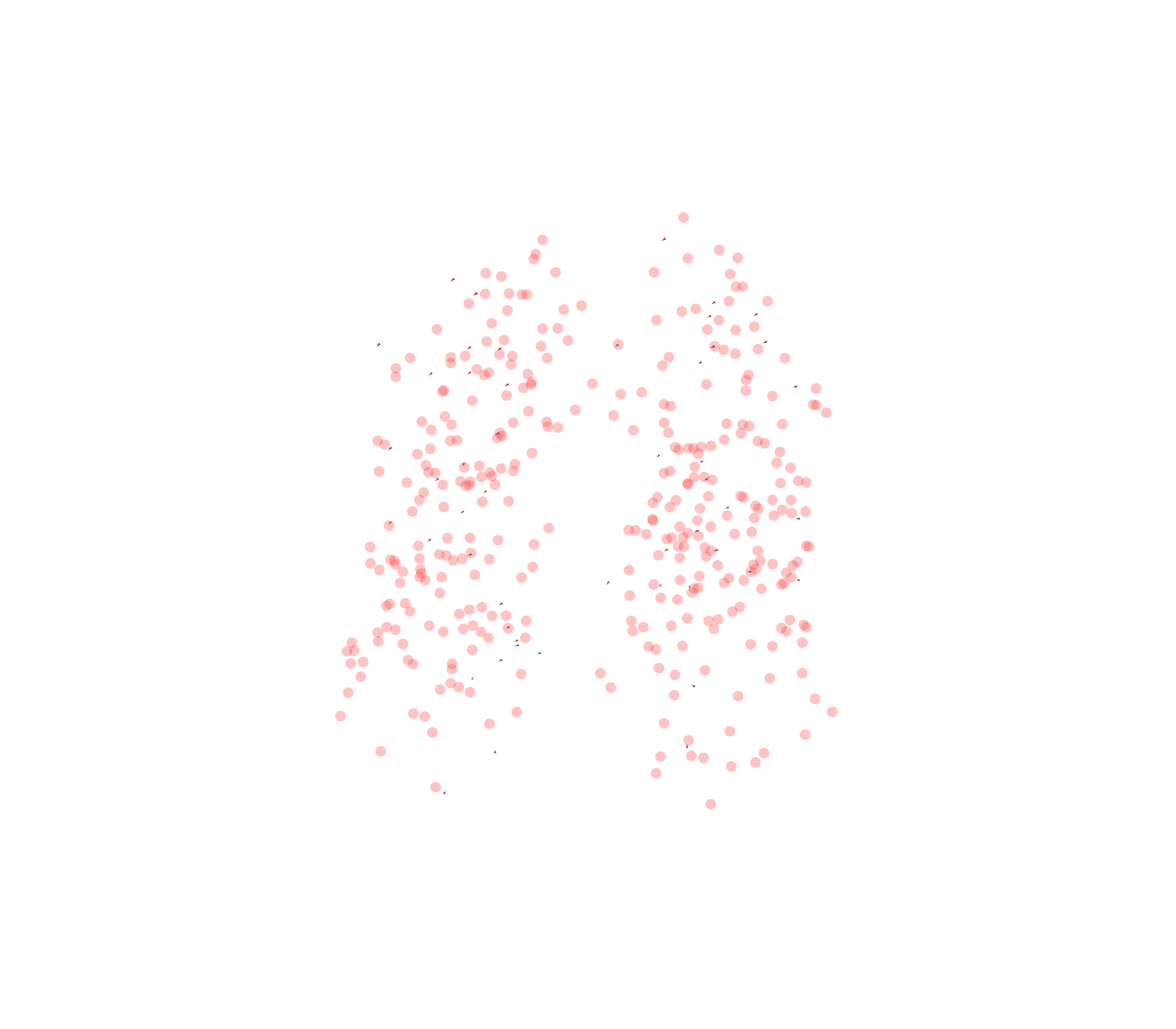 Displacement Vectors - Front View