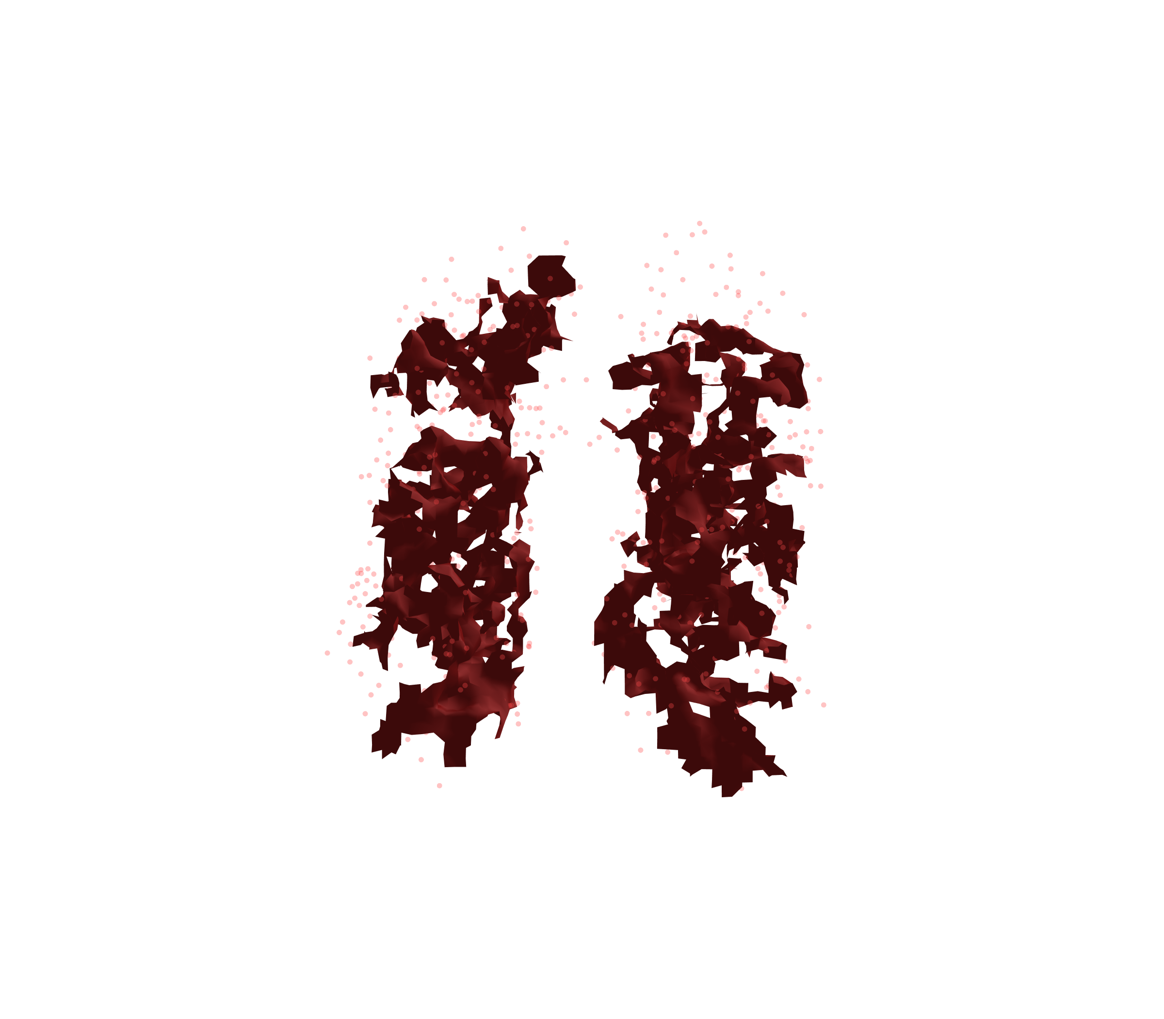 Combined Visualization (Expiration) - Front View