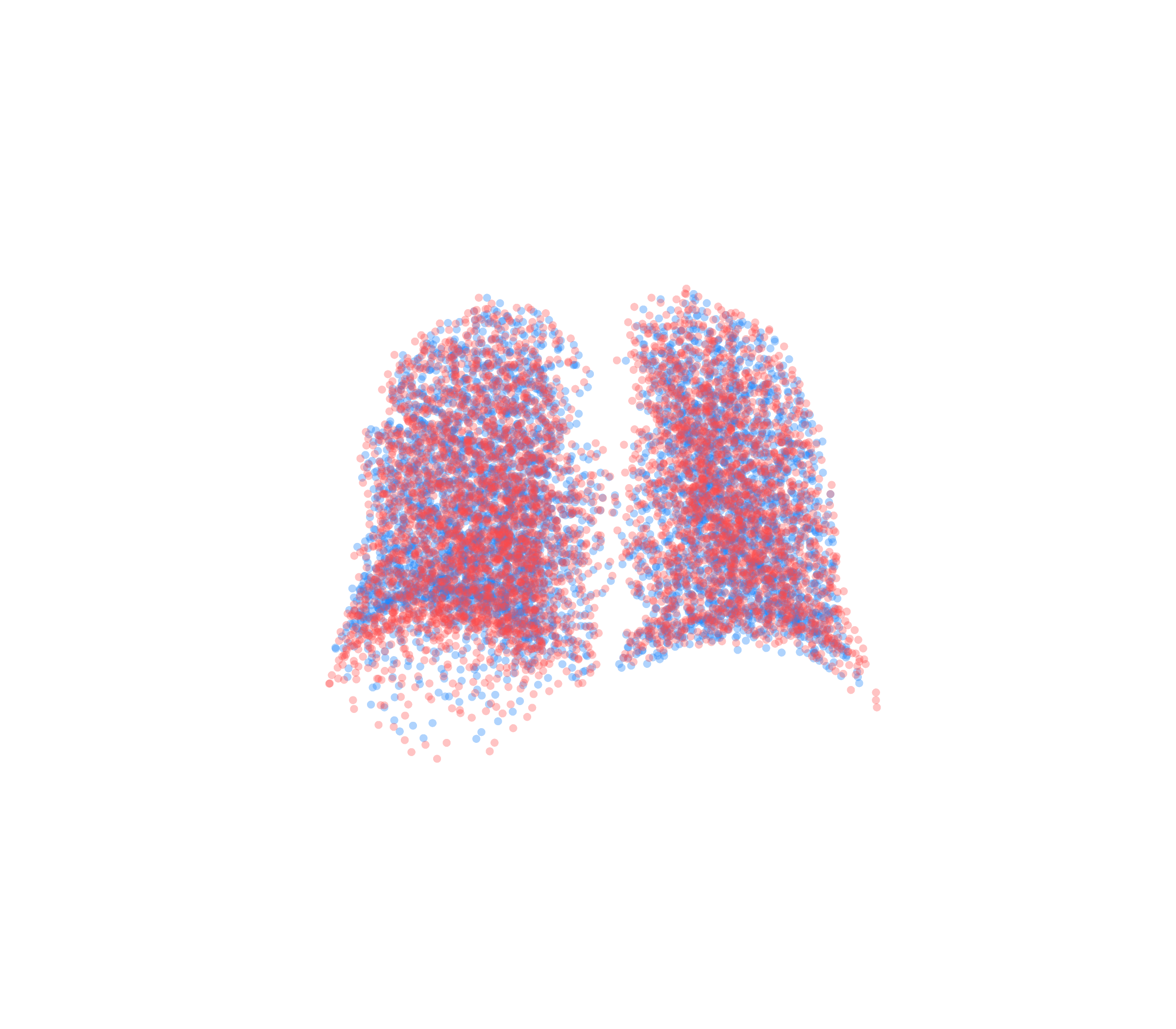 Point Cloud - Back View