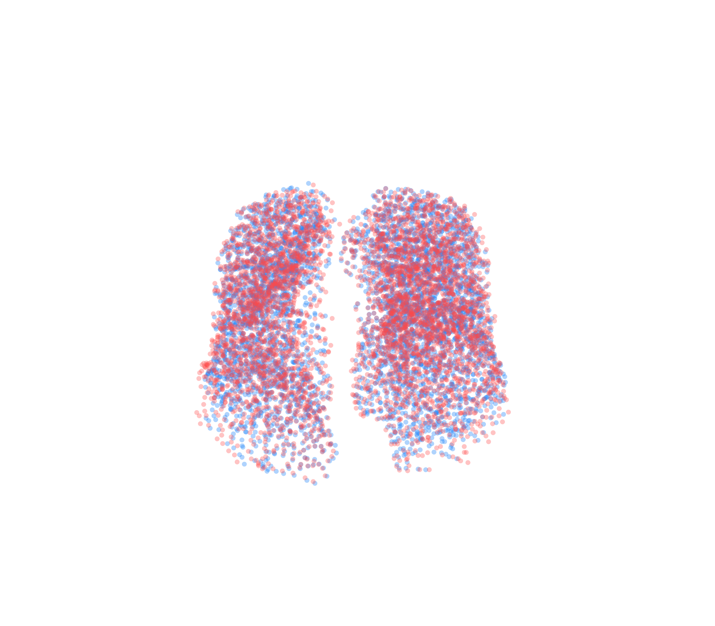 Point Cloud - Front View