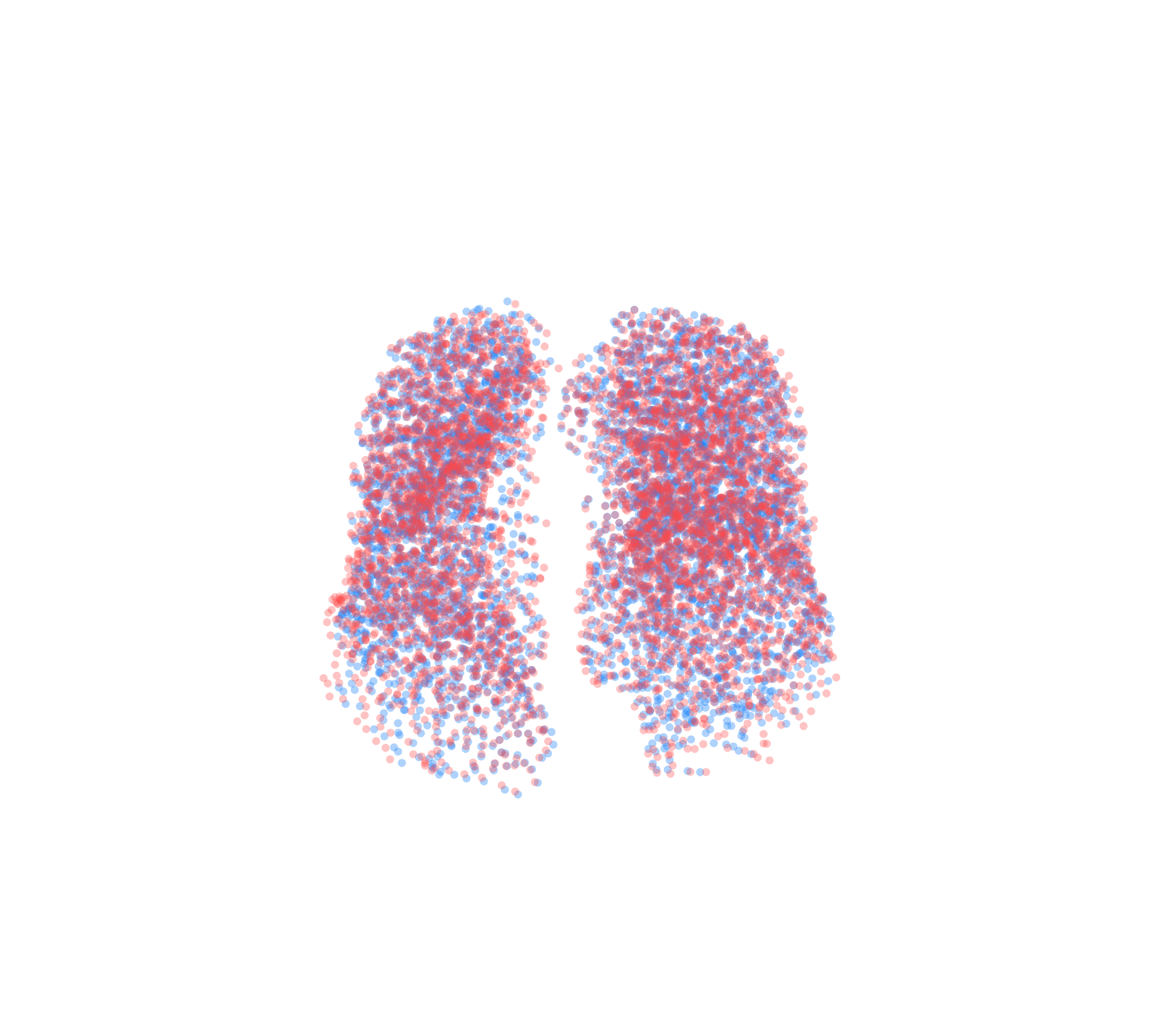 Point Cloud - Front View