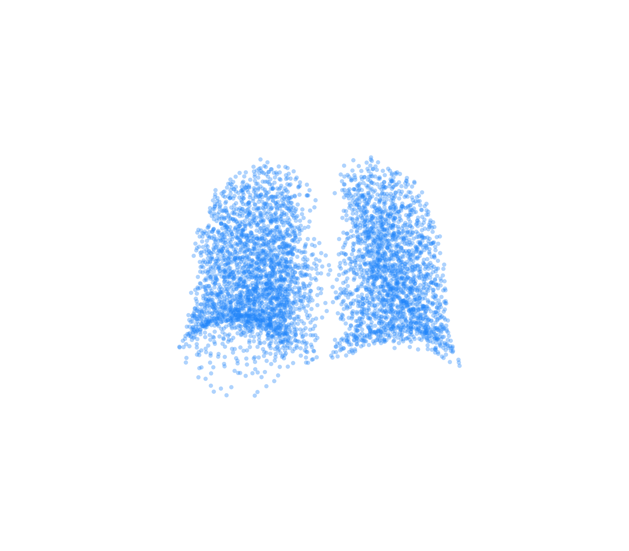 Point Cloud (Inspiration) - Back View